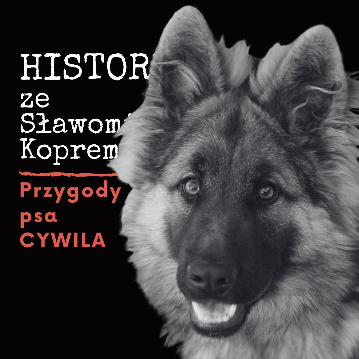 Tragiczne losy pupila z serialu Przygody psa cywila. Historia z Koprem Tragiczne losy pupila z serialu Przygody psa cywila. Historia z Koprem