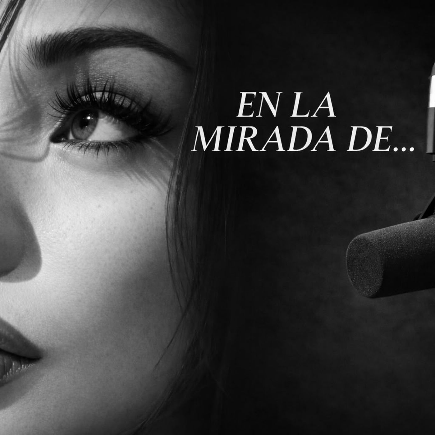 EN LA MIRADA || ESPECTACULOS, TEATRO Y ALGO MÁS episode artwork