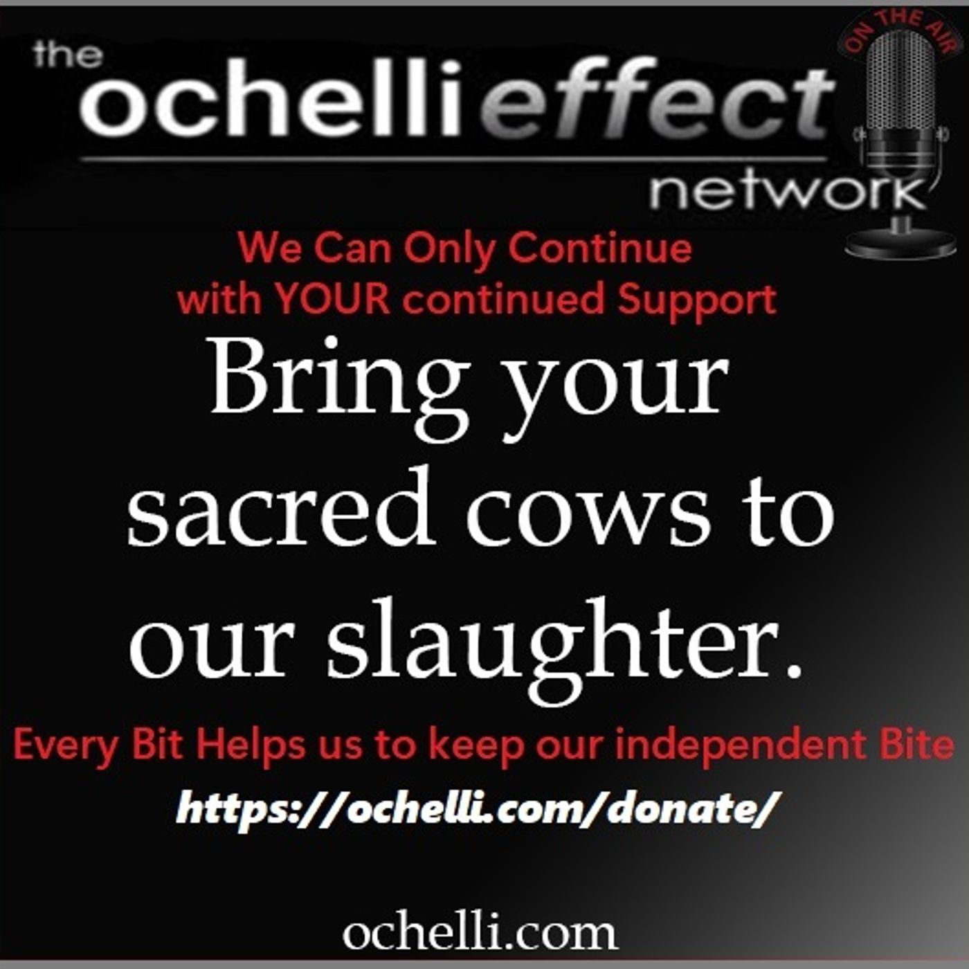 Ochelli Effect 4 10 2026 Fun Dogs Stories and Free TV Ochelli Effect 4 10 2026 Fun Dogs Stories and Free TV