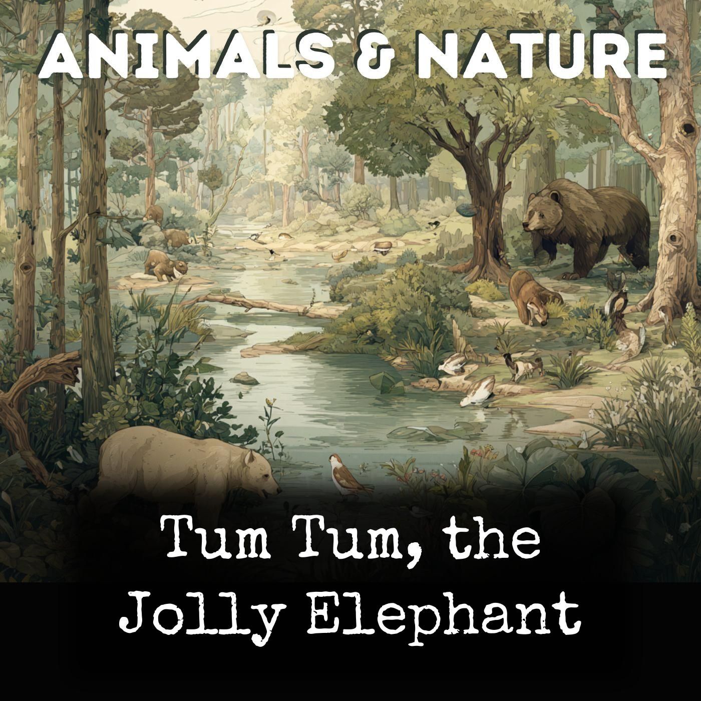 Tum Tum, the Jolly Elephant cover art