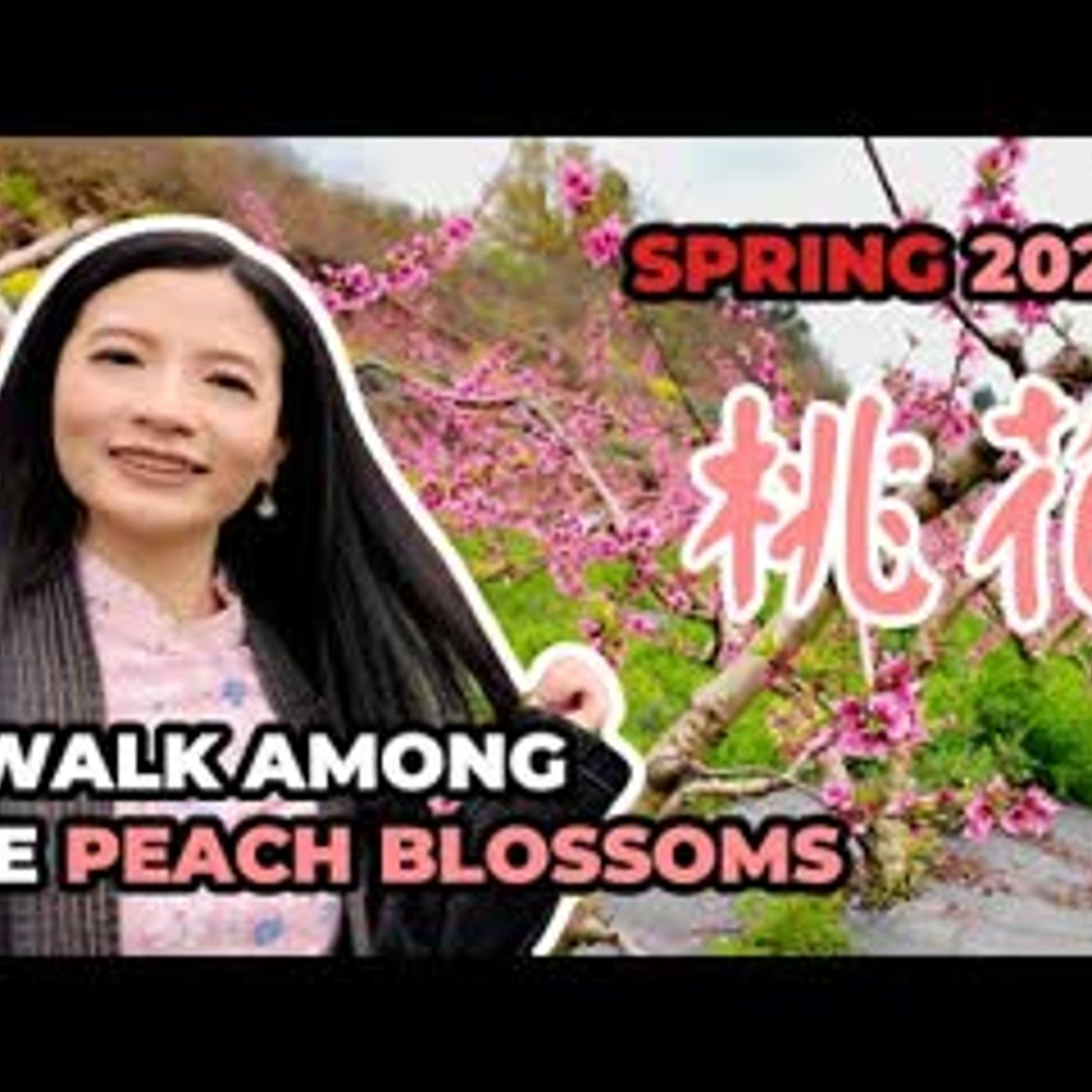 🌸🚶‍♀️A Walk Among The Peach Blossoms   Spring 2026 episode artwork