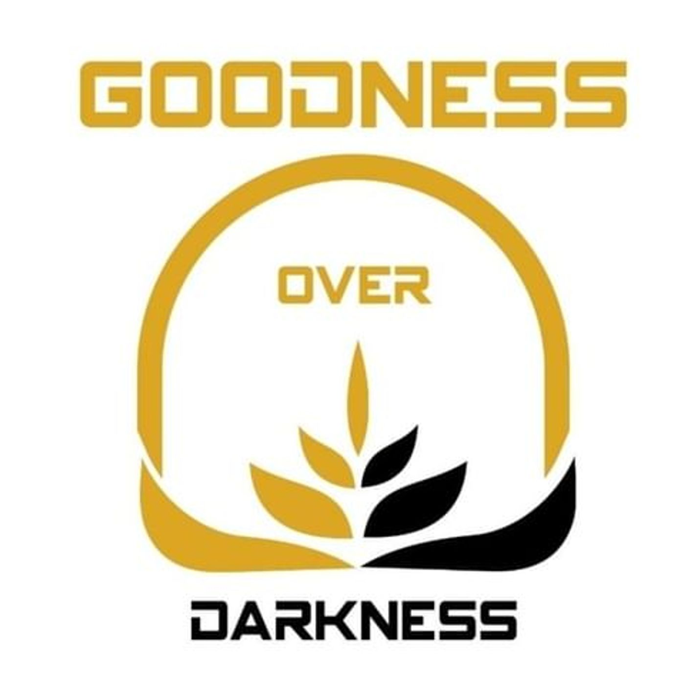 NY Patriot W/ Todd Armstrong from Goodness Over Darkness