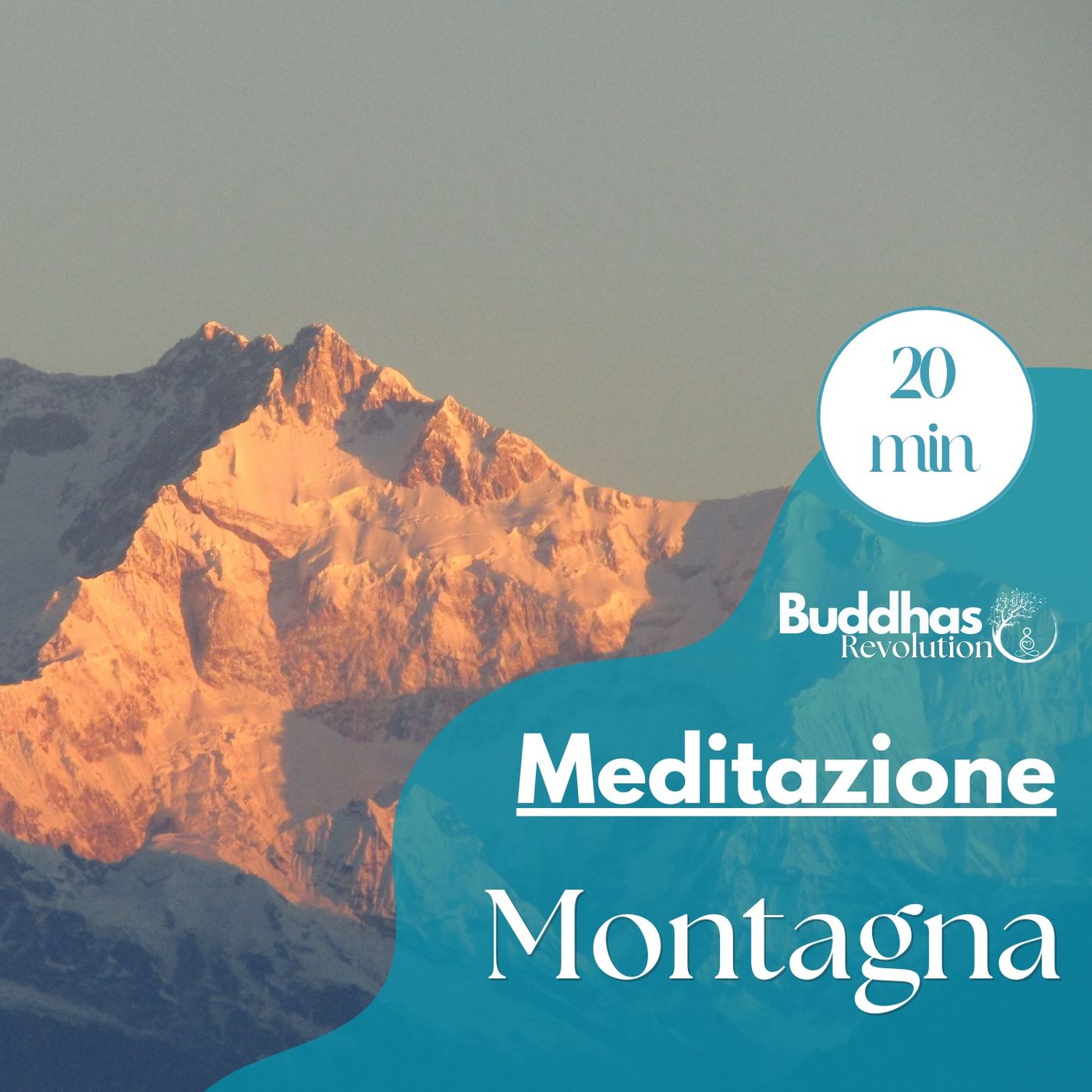 Buddhas Revolution