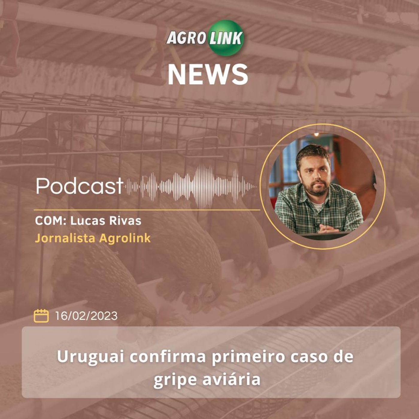 VBP do tomate deve chegar a R$ 6,6 bilhões em Goiás episode artwork