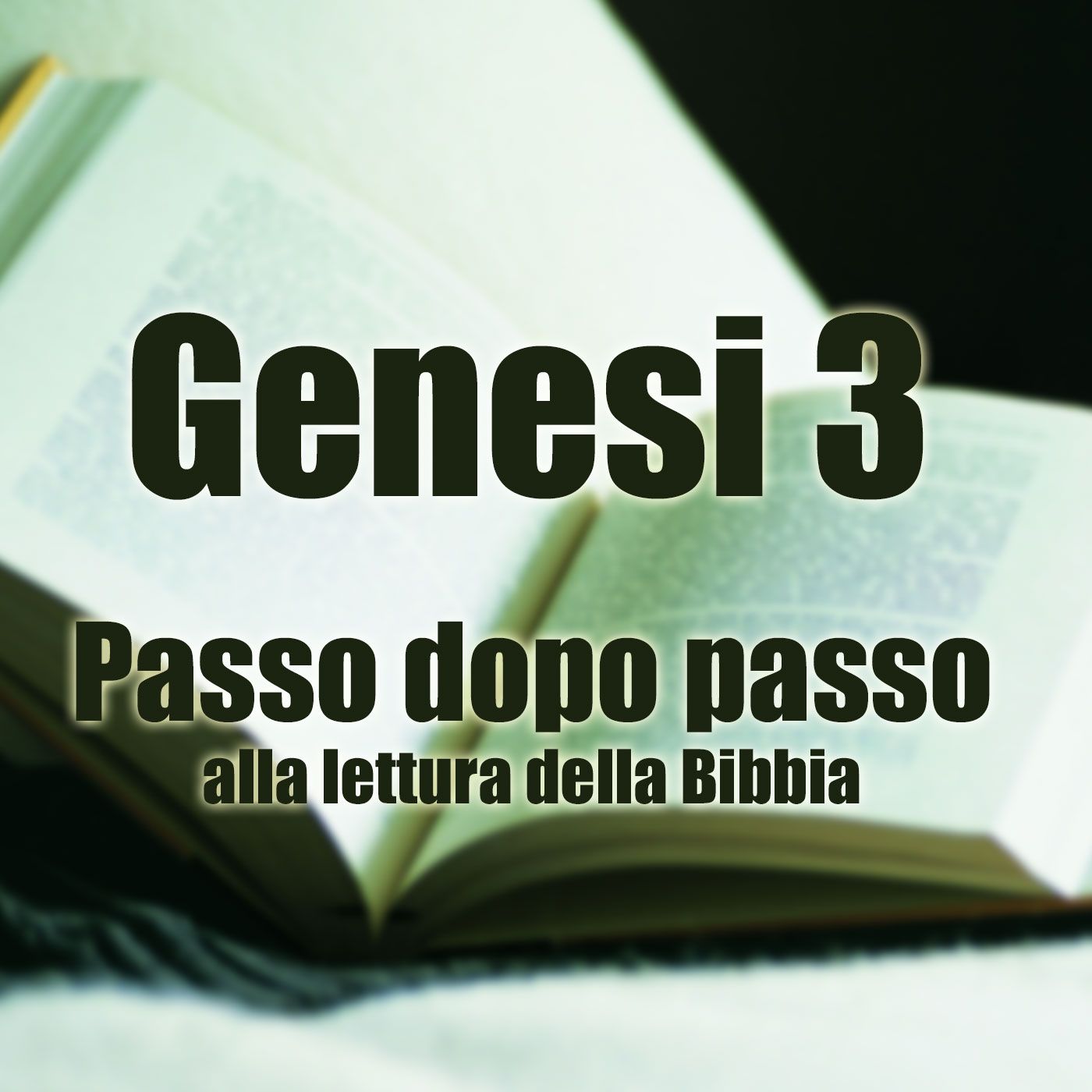 Passo dopo passo alla lettura della Bibbia