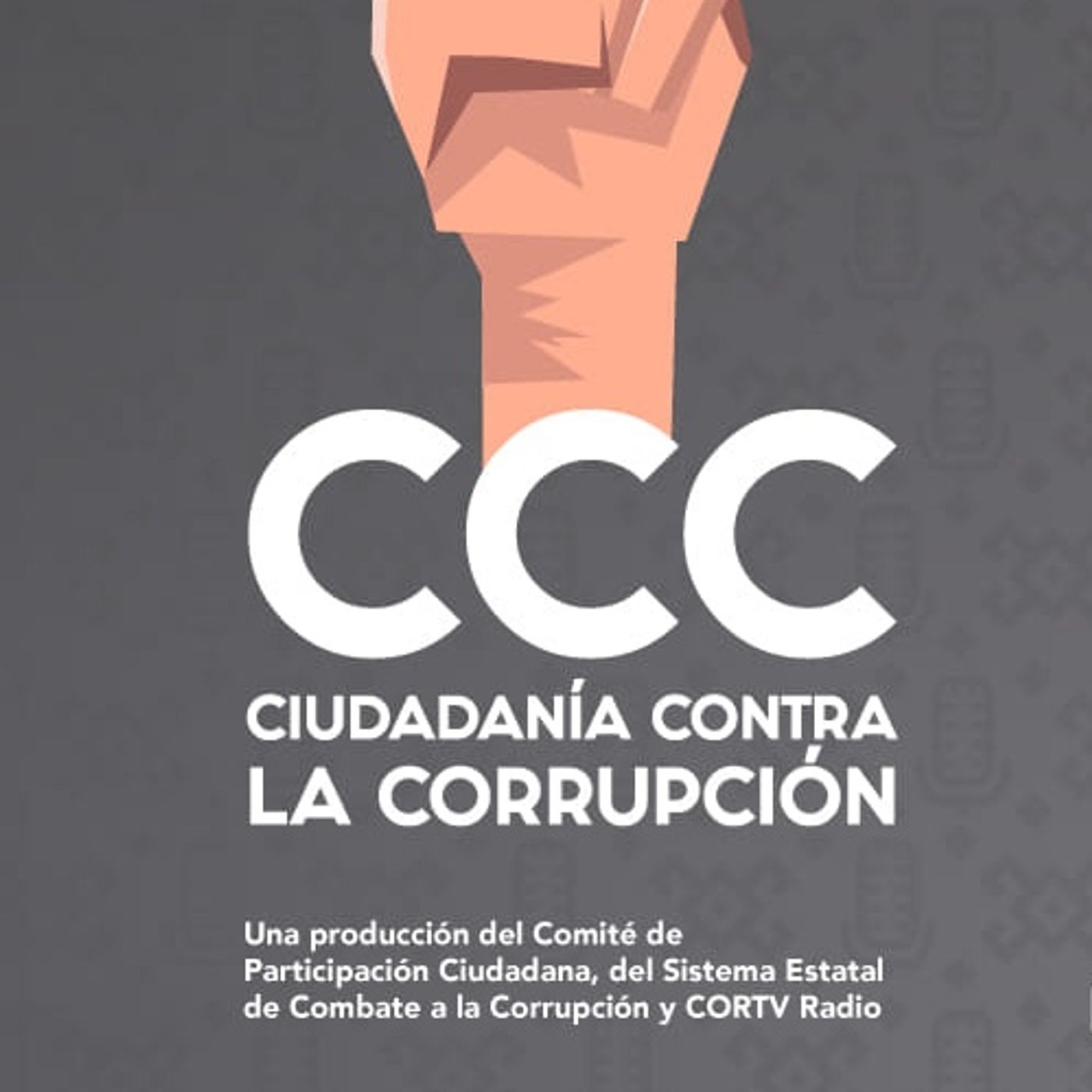 CIUDADANÍA CONTRA LA CORRUPCIÓN