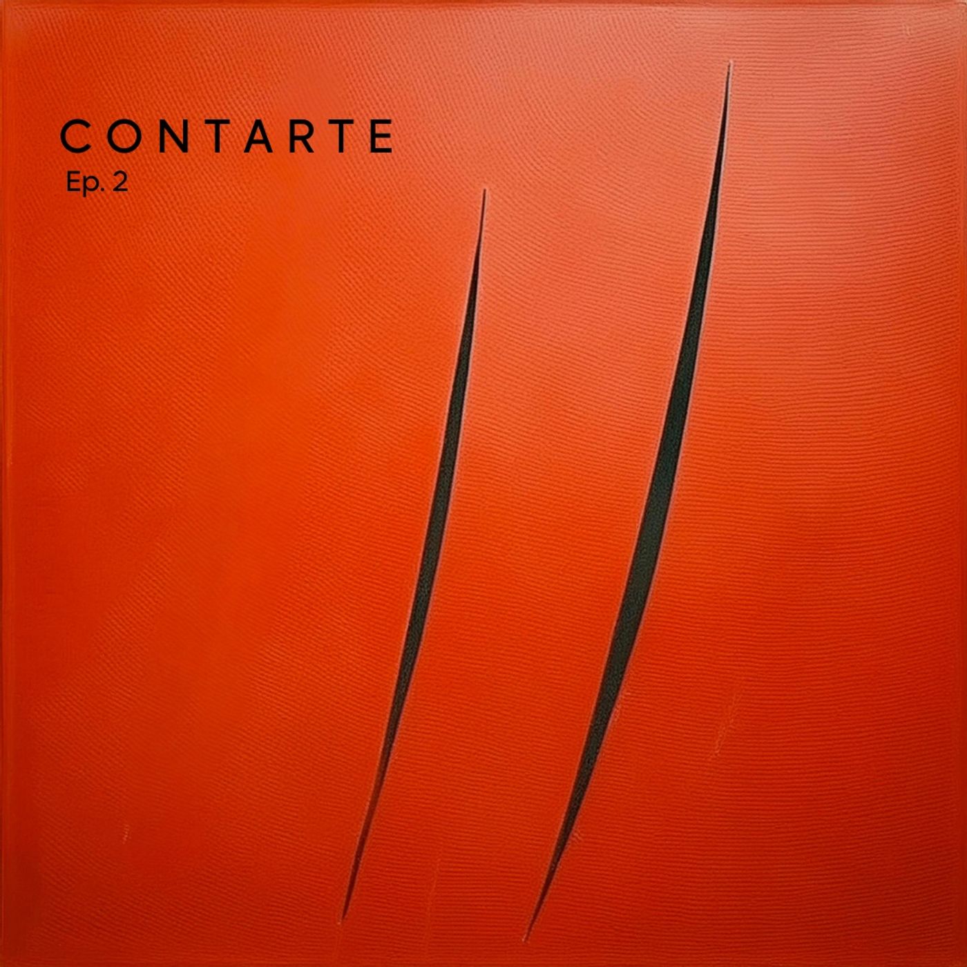 Contarte - Storie dai Musei di Feltre