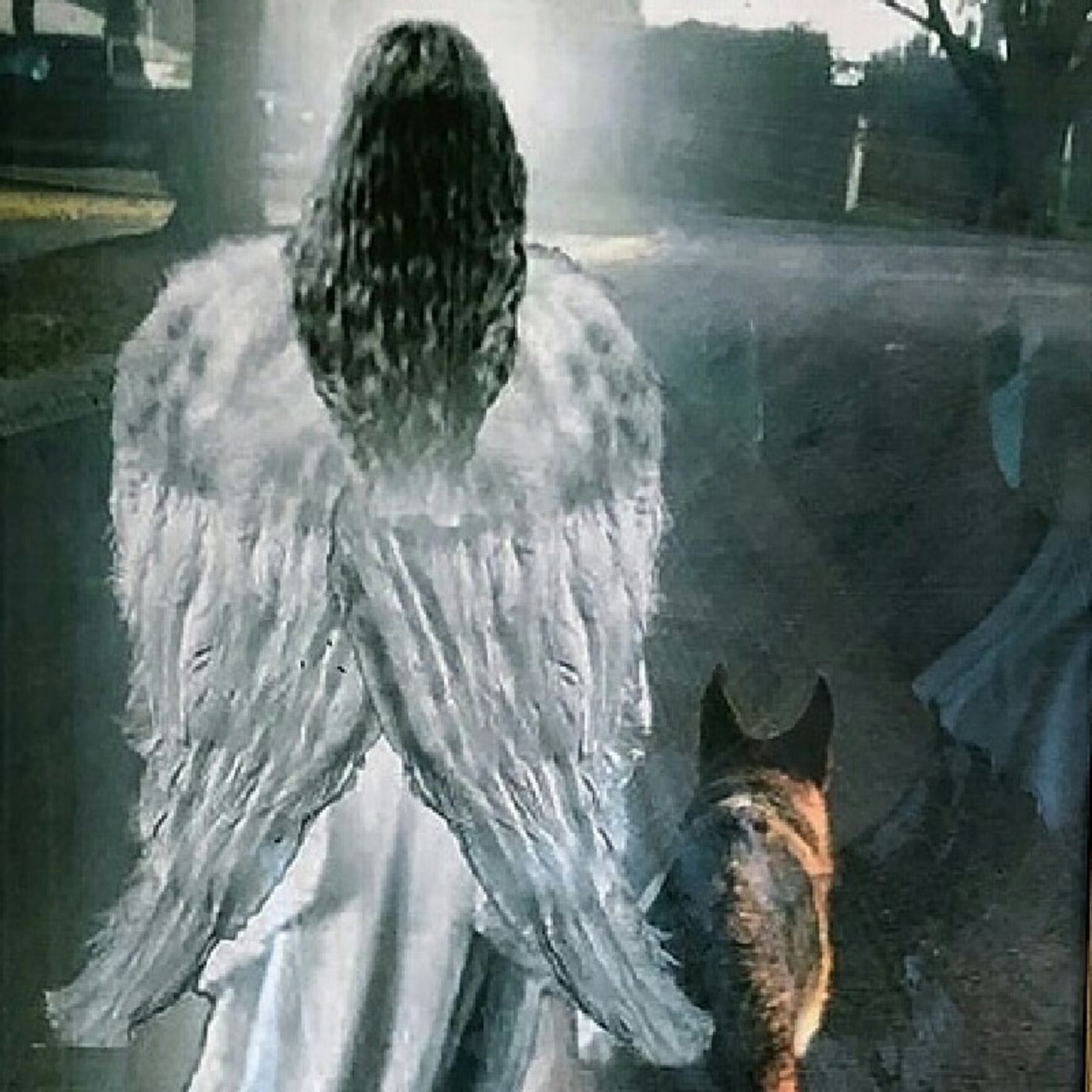 Valentine's Day Is 365 thumbnail