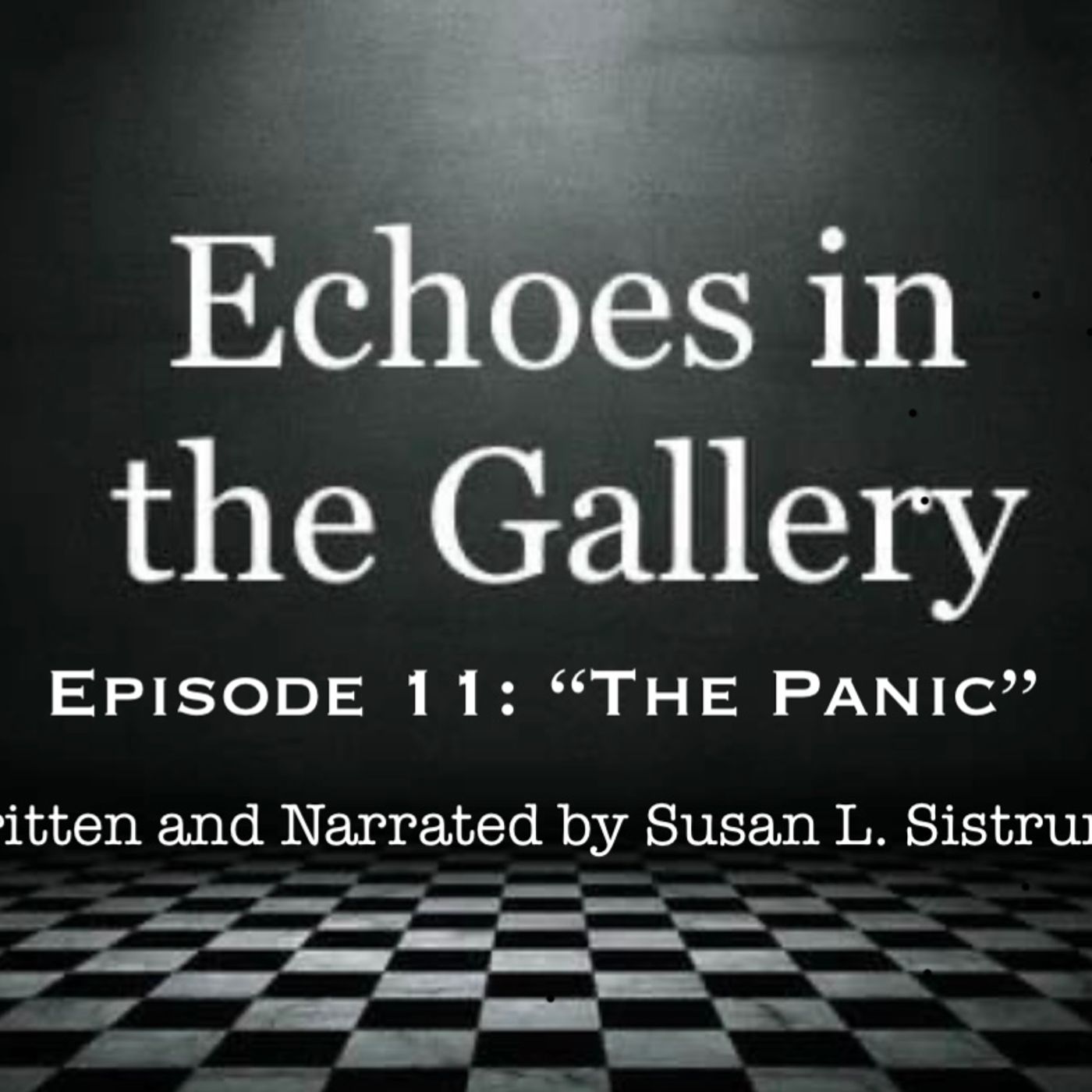 Echoes in the Gallery