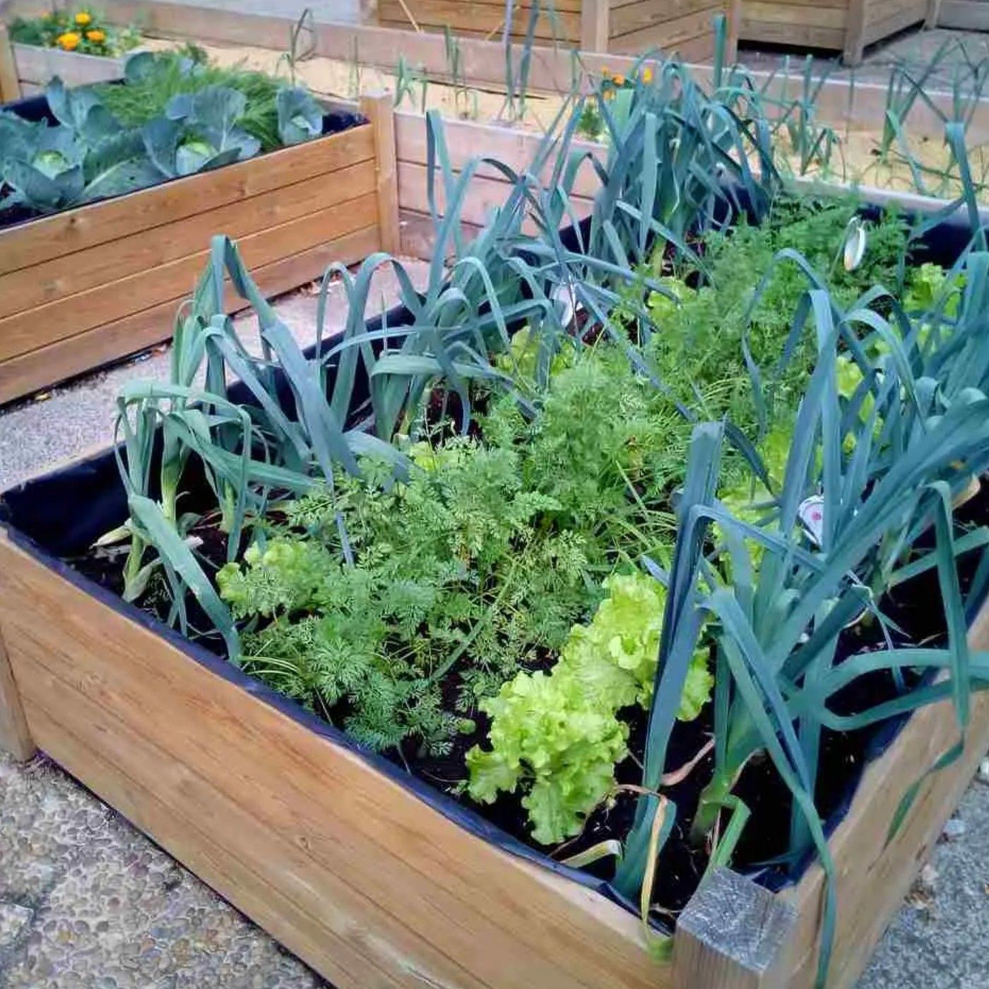 Un huerto ecológico