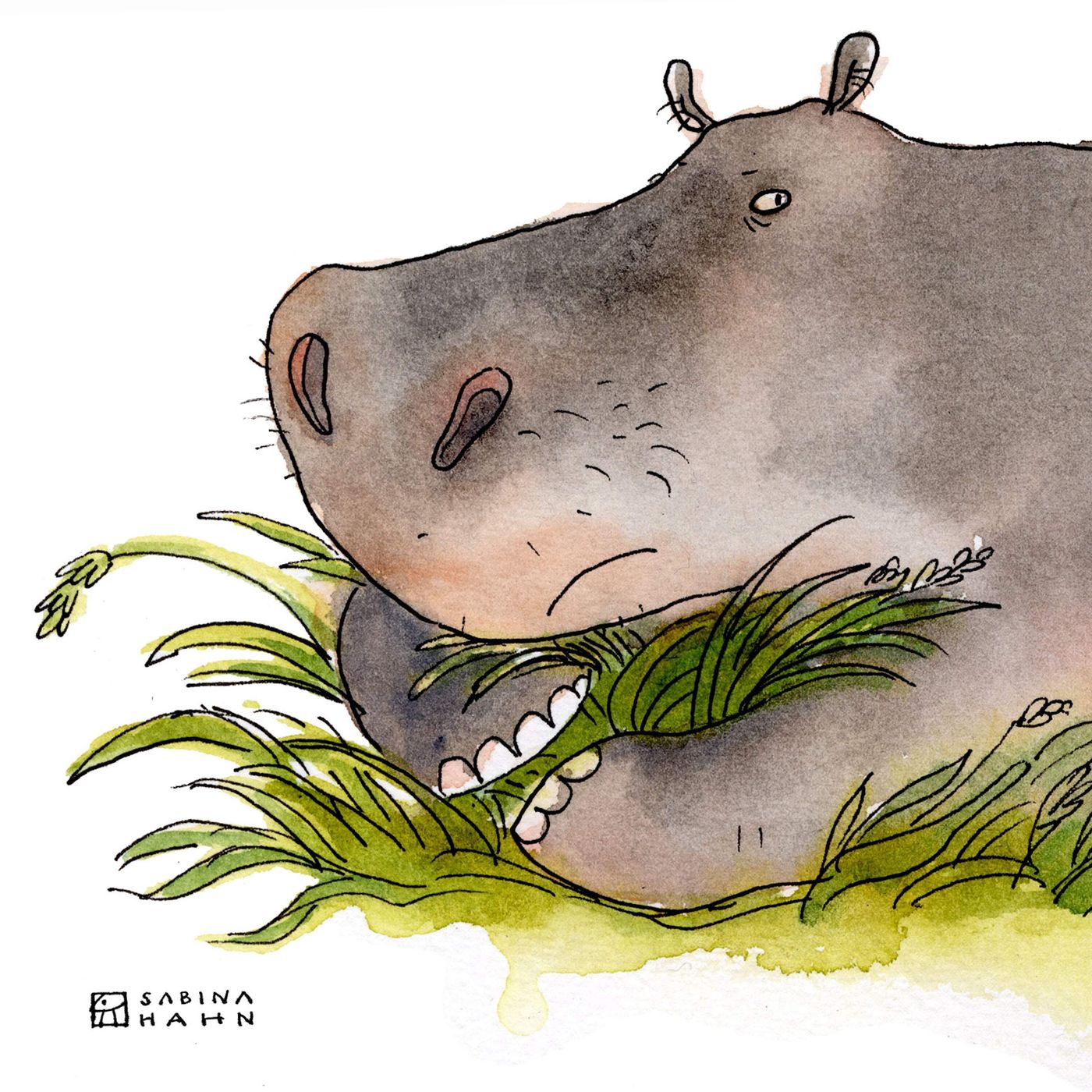 Encore: Hungry Hippo