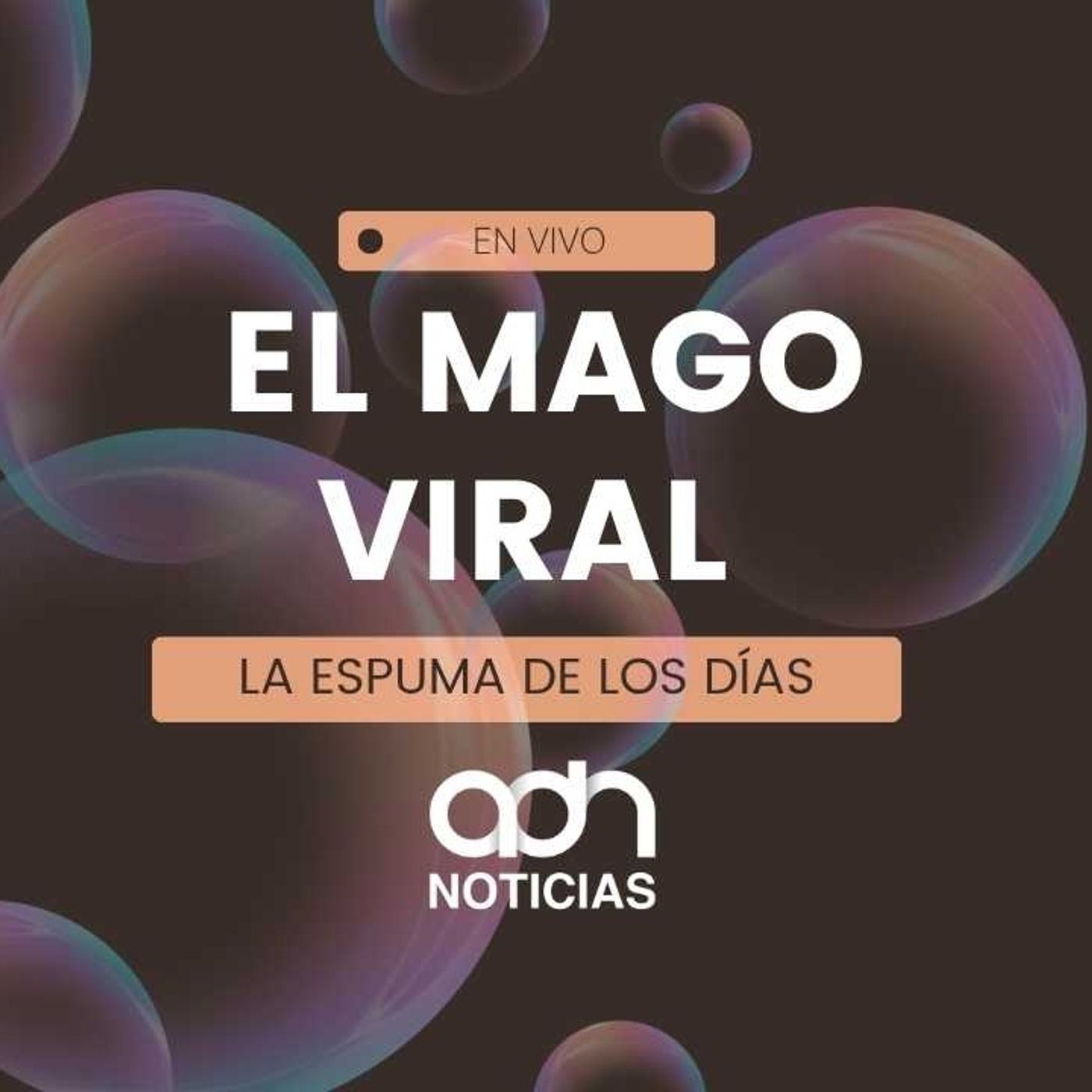 La espuma de los días