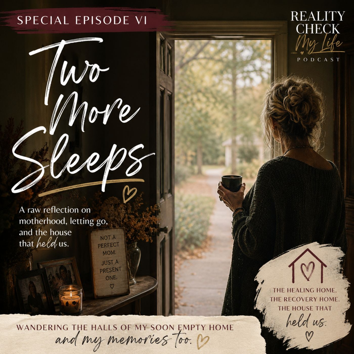 Special Episode VI: Two More Sleeps episode artwork