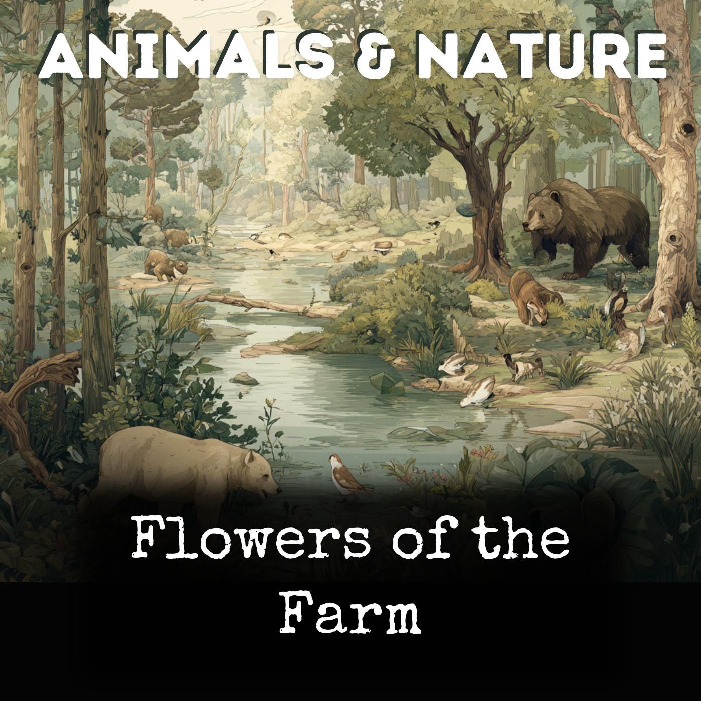 Flowers of the Farm cover art