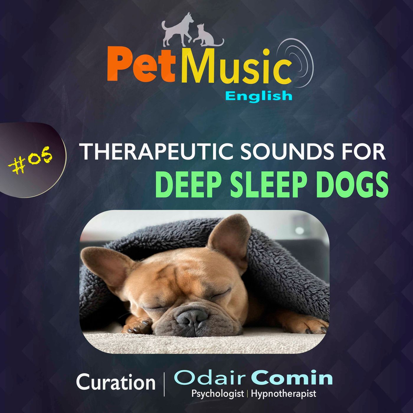 #05 Therapeutic Sounds for Deep Sleep Dogs | PetMusic