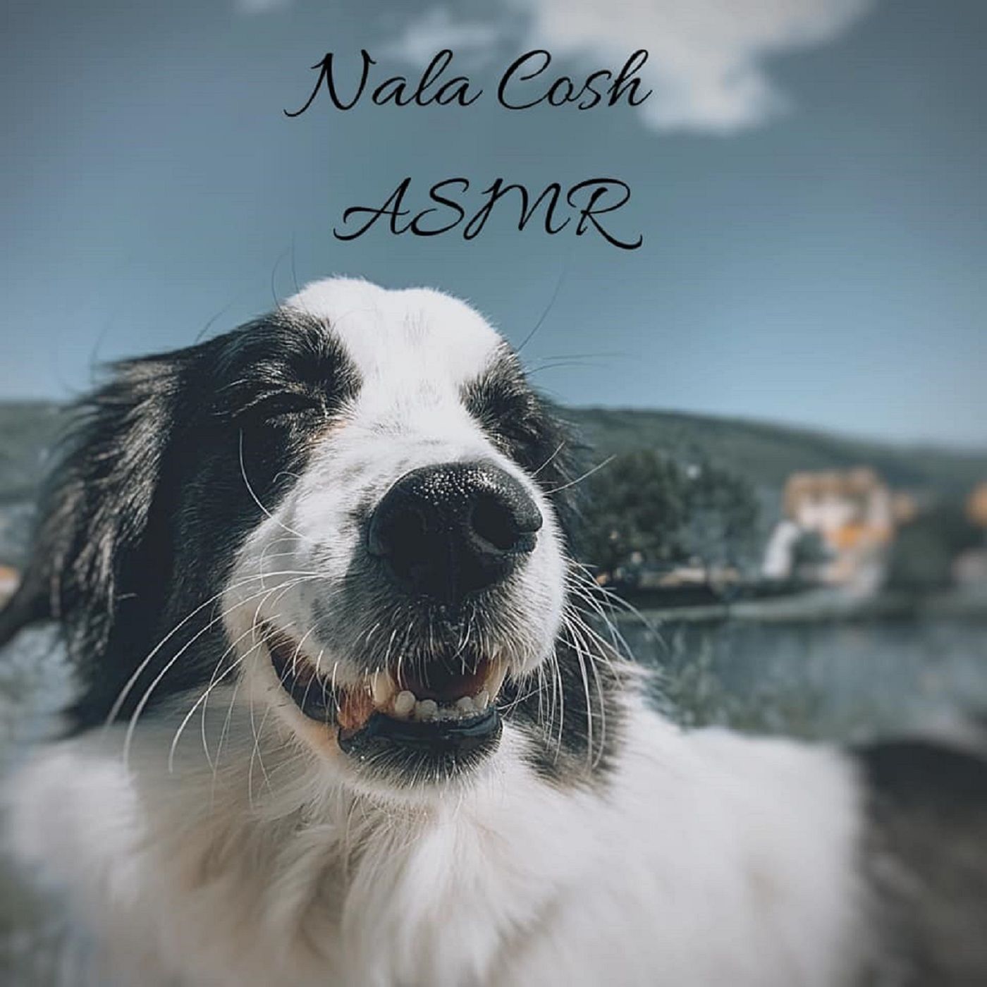 Nala Cosh ASMR