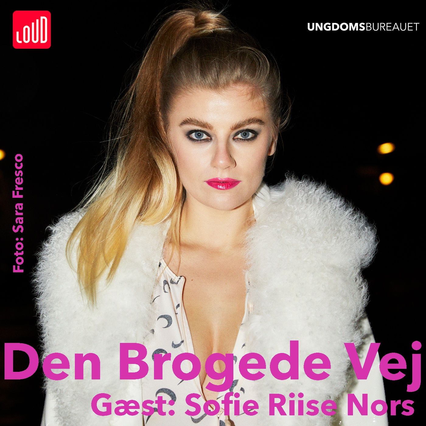Den Brogede Vej