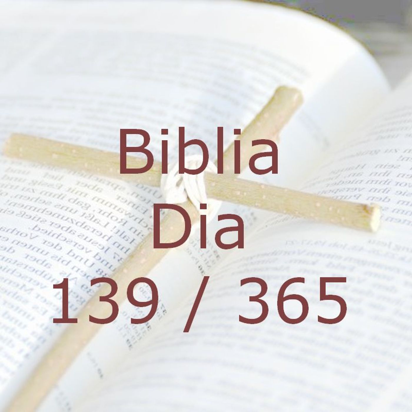 La Biblia en 365 dias