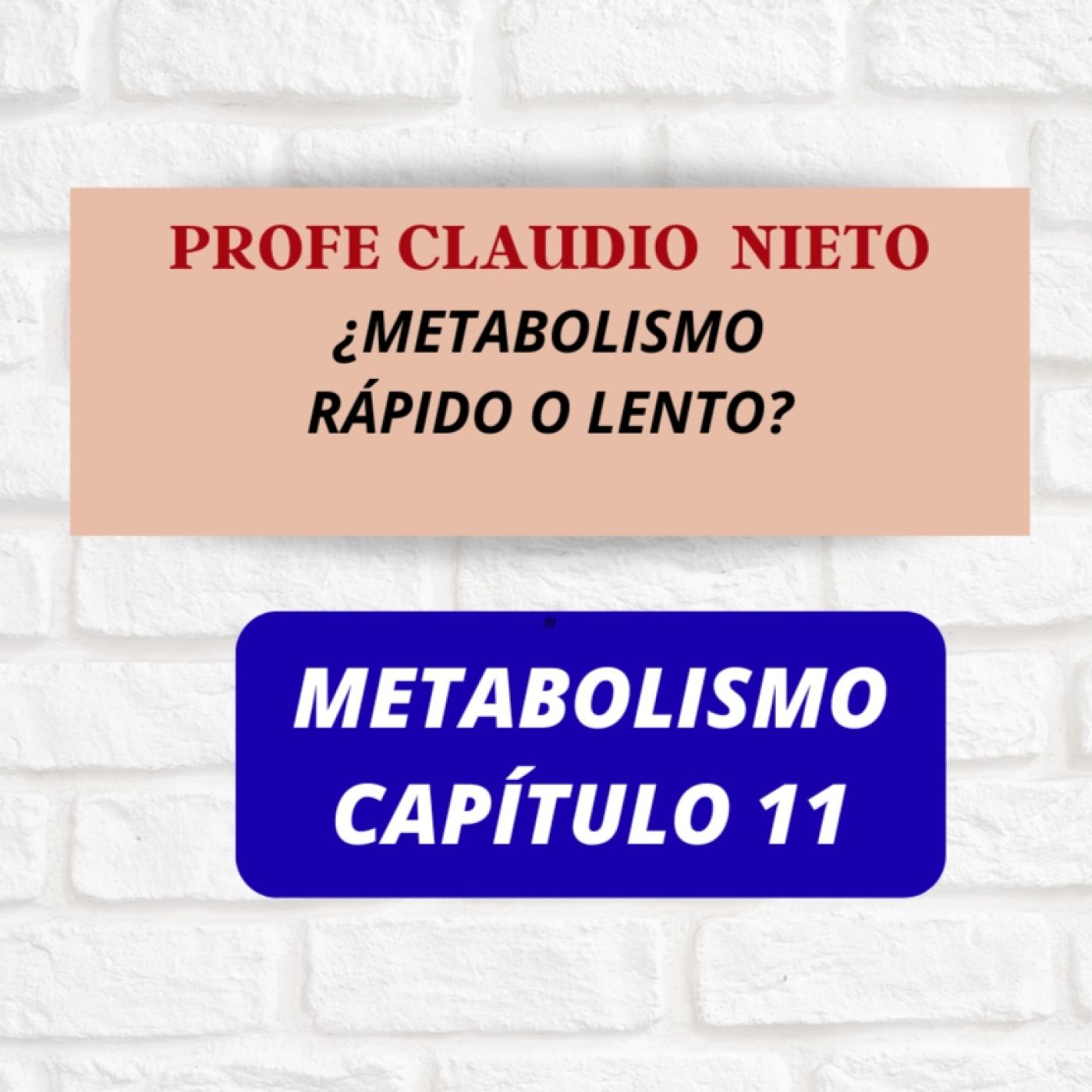251. METABOLISMO 11: ¿Metabolismo lento? La verdad que nadie te cuenta (mito o adaptación