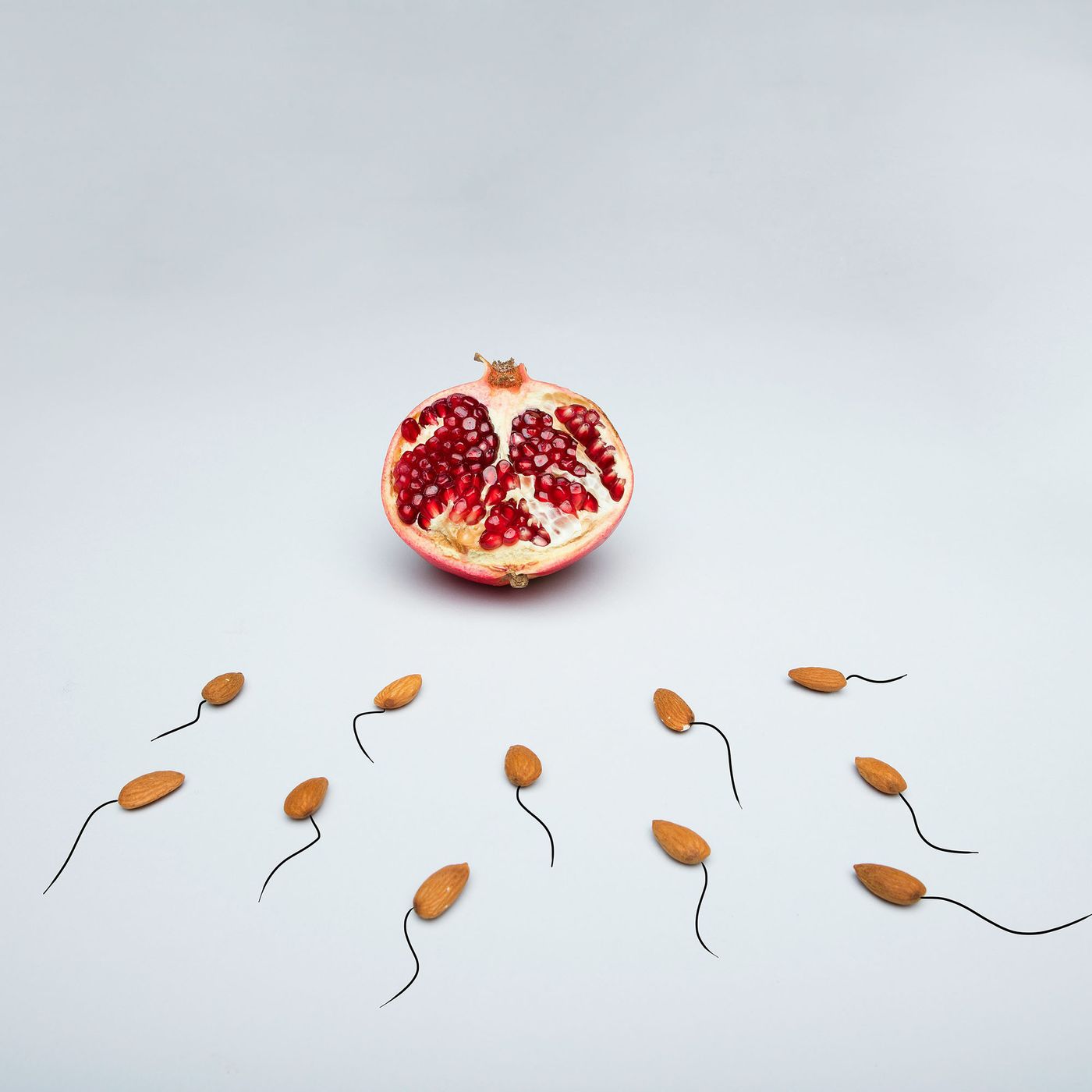 Seasonal Patterns in Male Fertility and Sperm Motility episode artwork