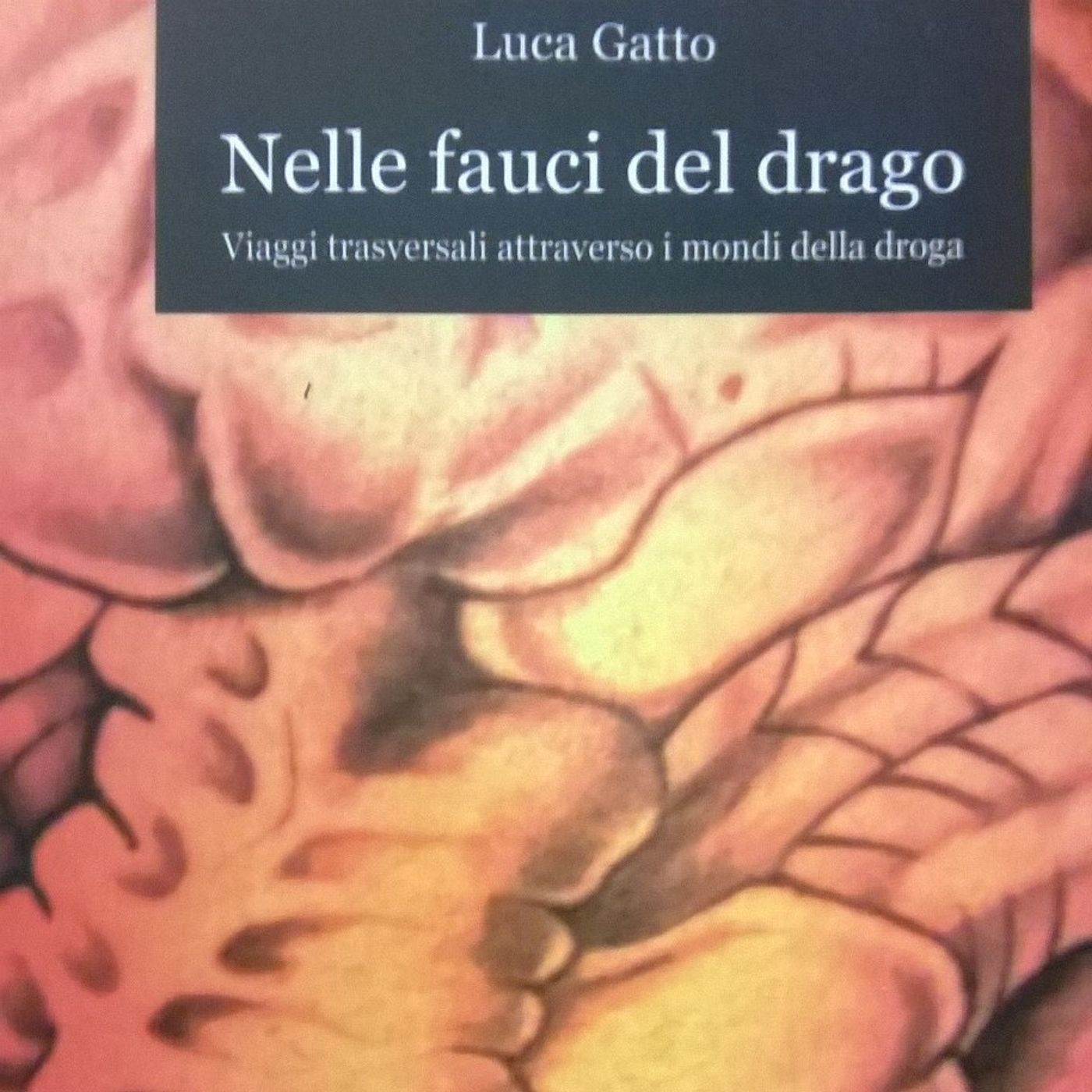 Luca Gatto - Nelle fauci del drago episode artwork