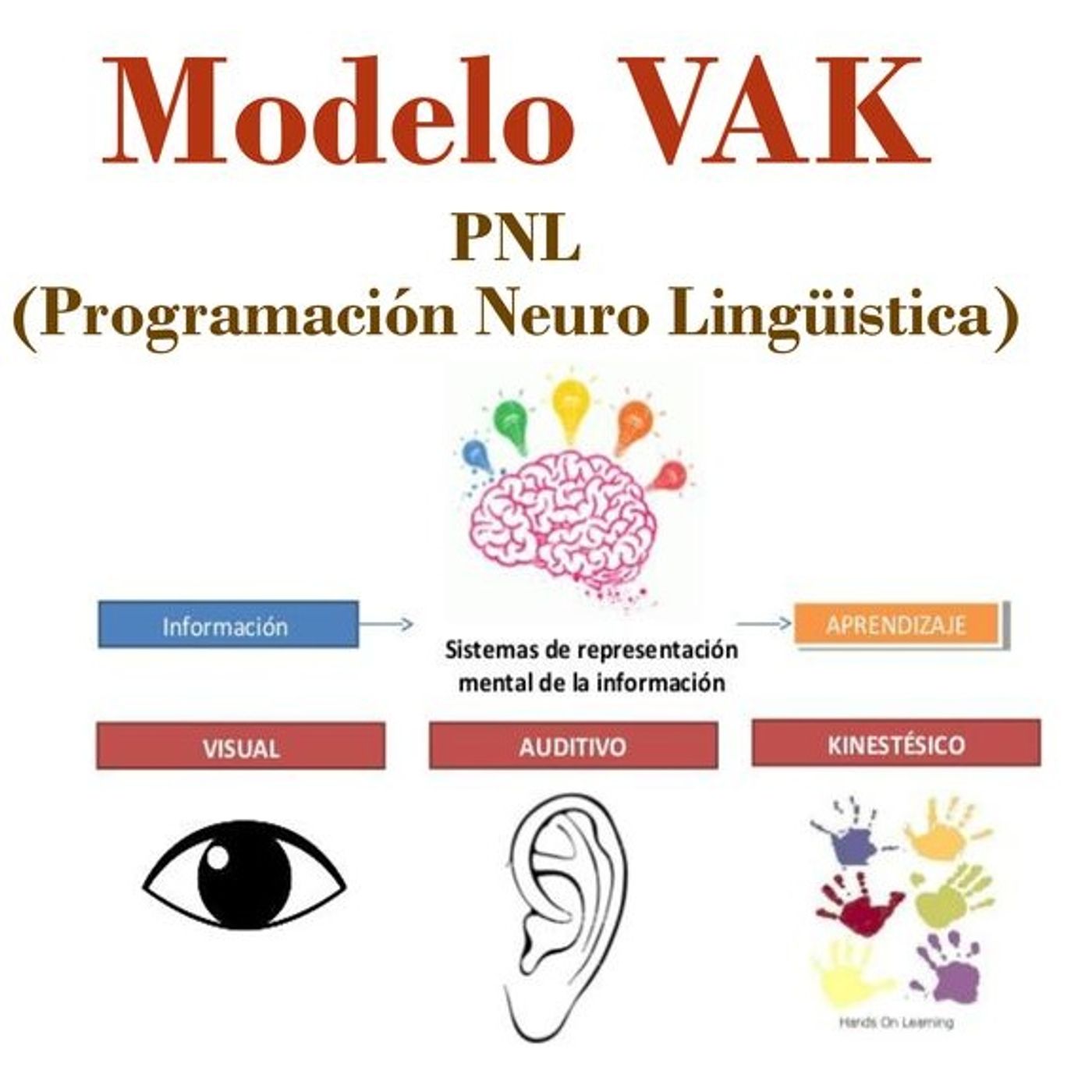 Modelo PNL