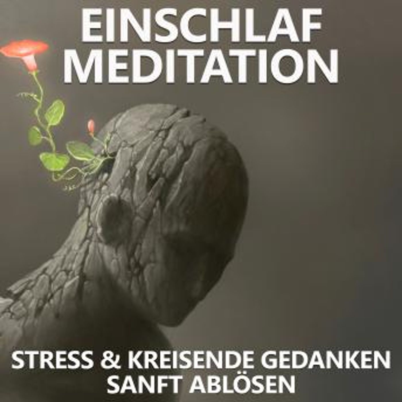 Get Best Full Audiobooks in Health & Wellness, Mindfulness & Meditation