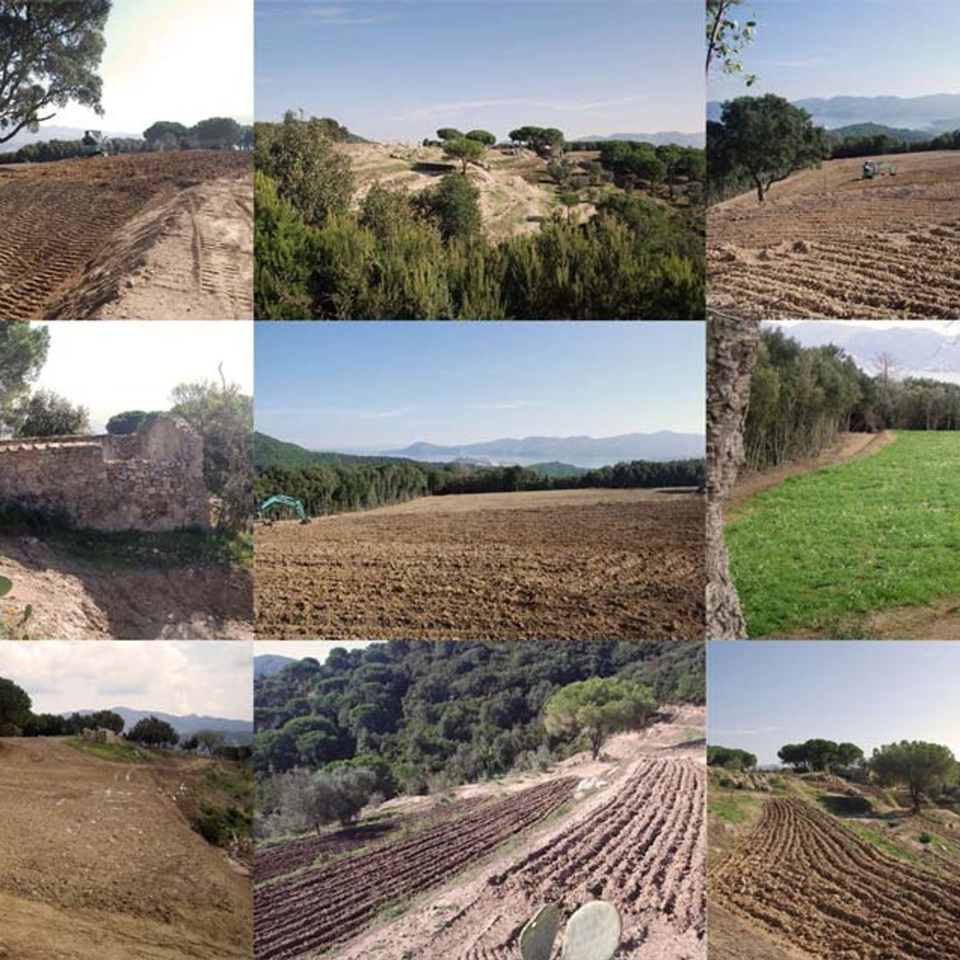 Tenute agricole e vitivinicole Italiane
