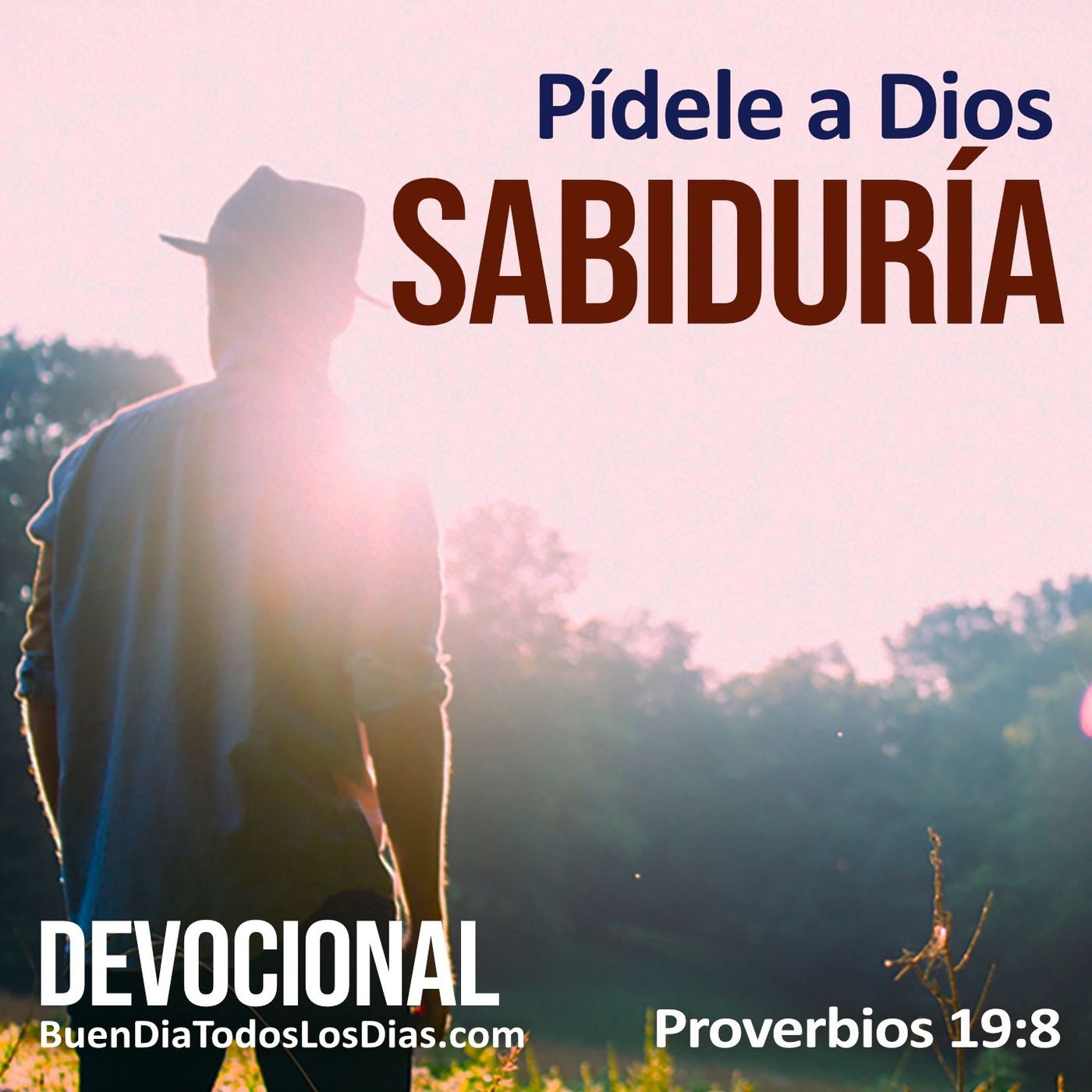 Busca la sabiduría episode artwork
