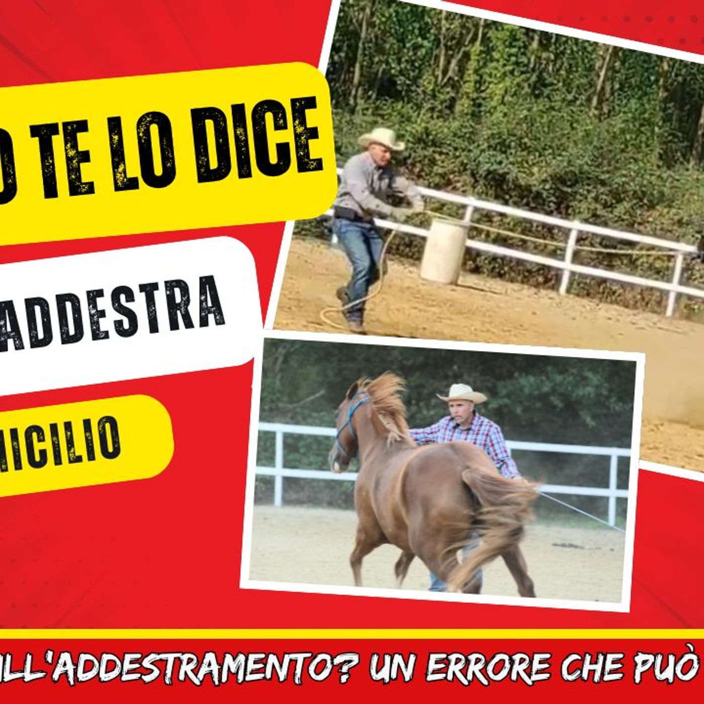 Matteoni Horsemanship