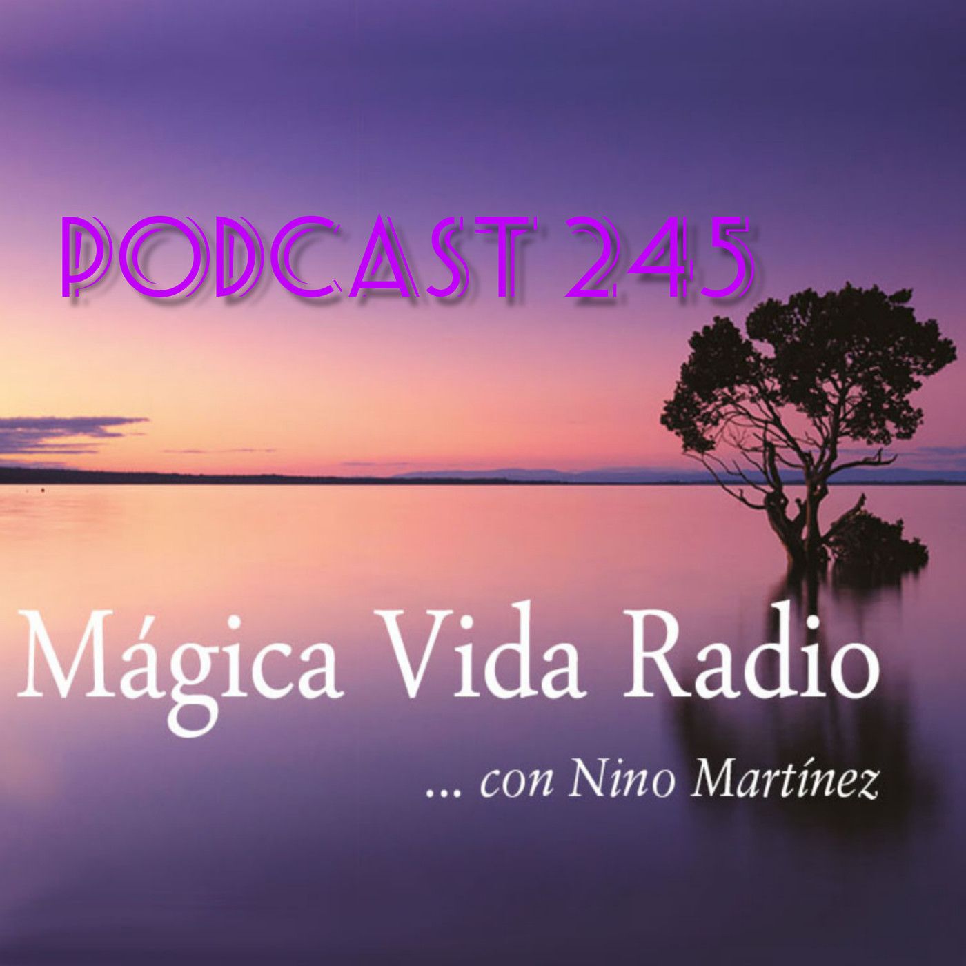 Mágica Vida Radio