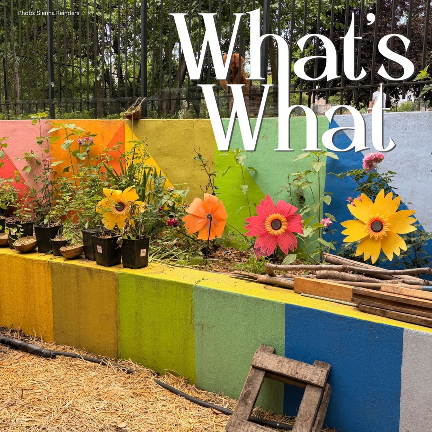 MTA extends Q Line, World Cup Watch Parties in NYC, Midtown Prepares for NBA Finals, and Bronx Community Gardens Now Open episode artwork