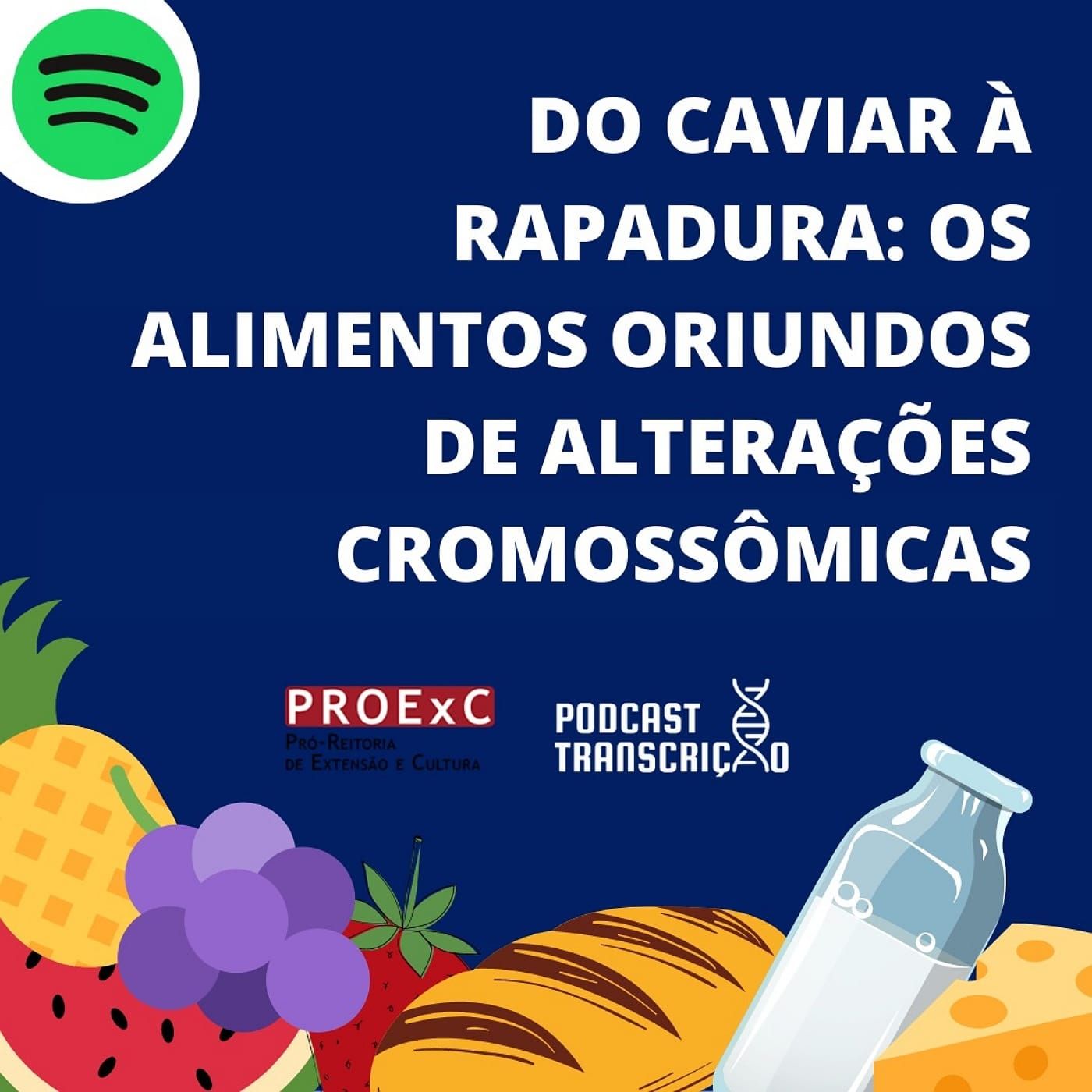 Podcast Transcrição