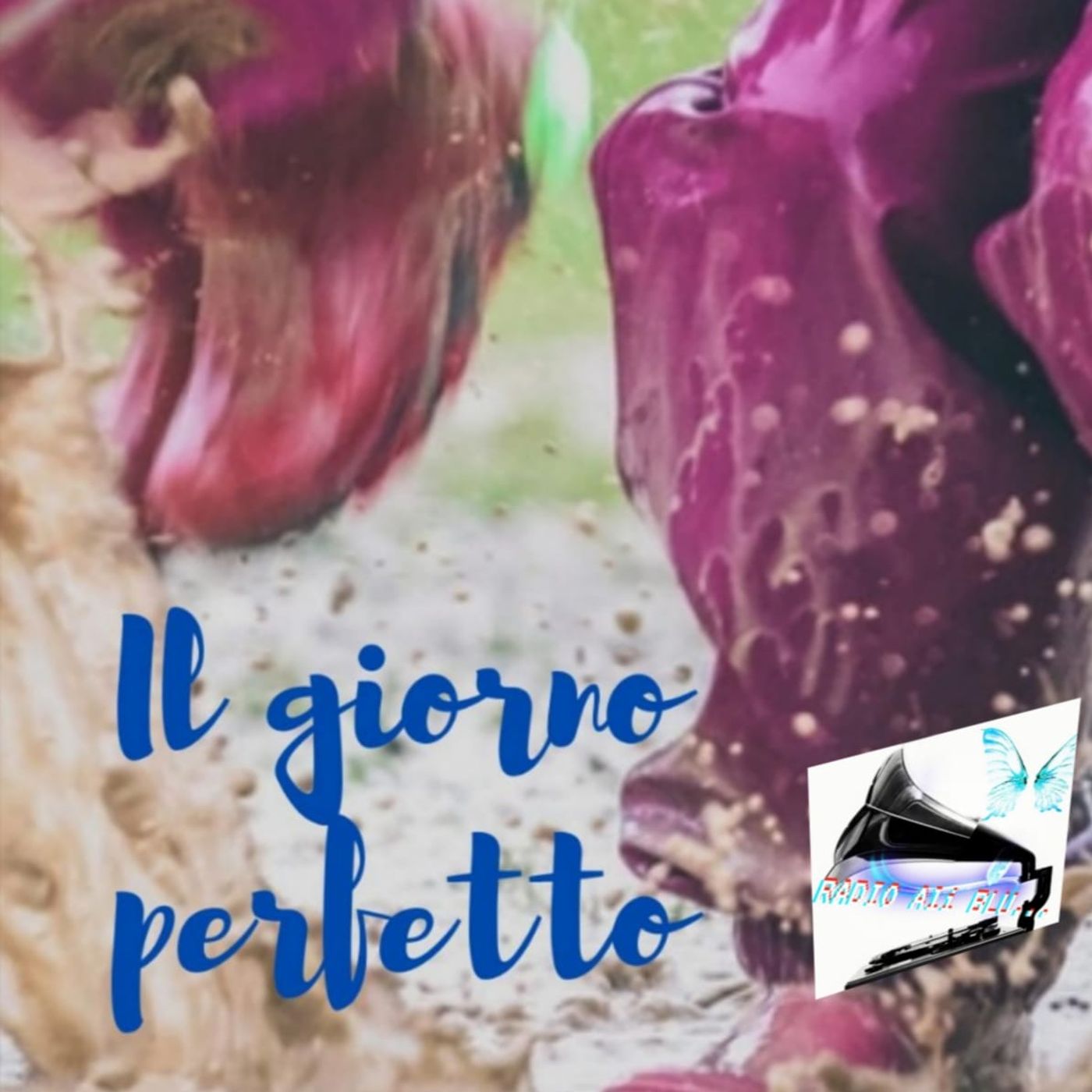 Radio Ali Blu... Il podcast delle emozioni!