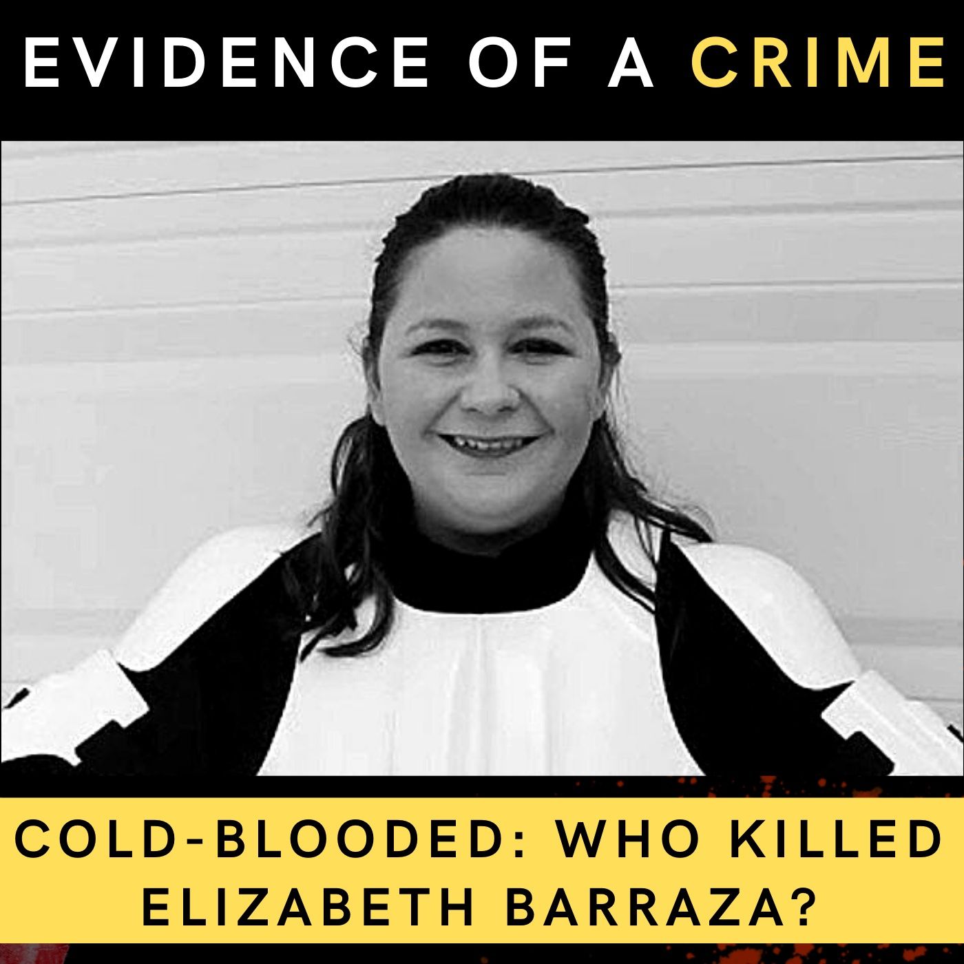 16. Cold-Blooded: Who Killed Elizabeth Barraza?