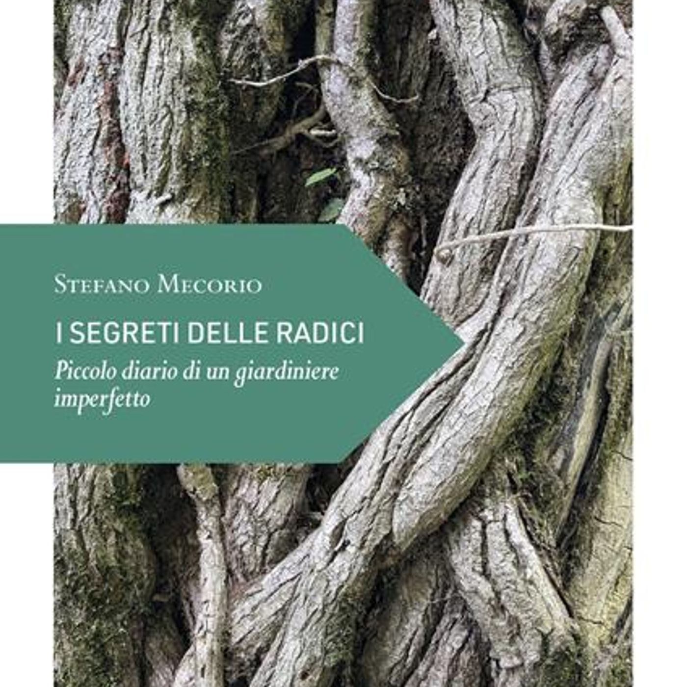 Stefano Mecorio "I segreti delle radici"
