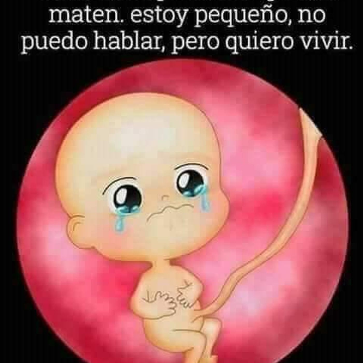 DEFENSORES de la vida y la familia