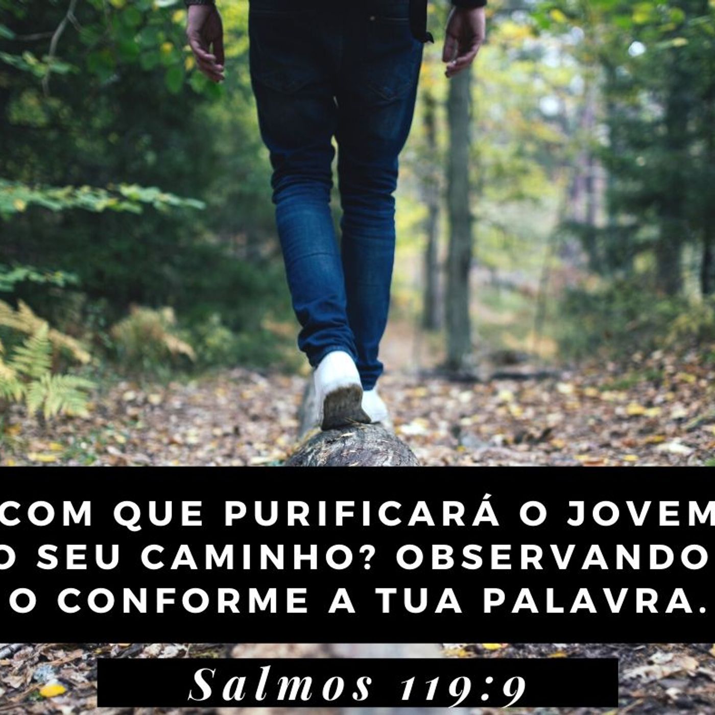 Devocional Abba Pai