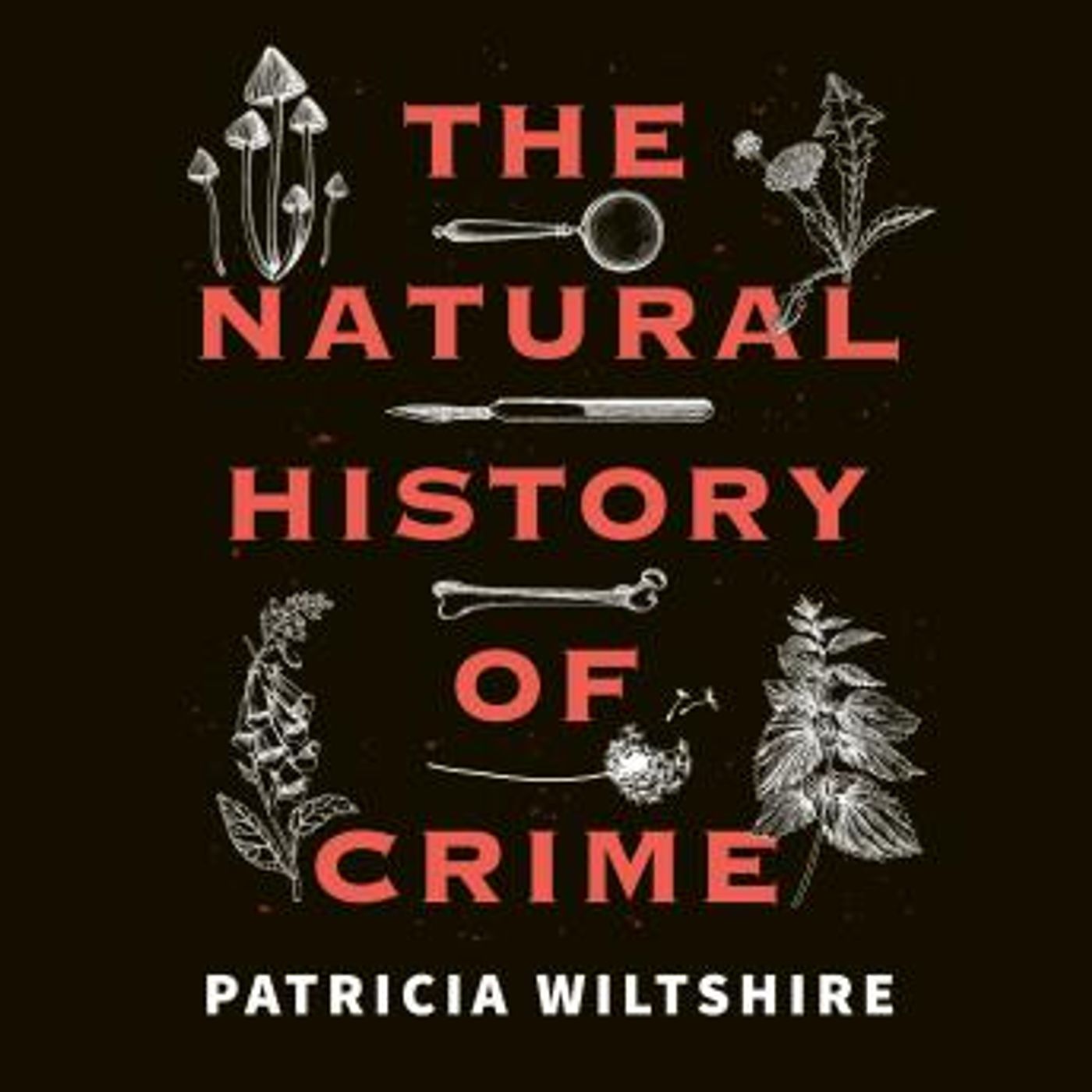 The Natural History of Crime: Case studies in death and the clues nature leaves behind by Patricia Wiltshire episode artwork