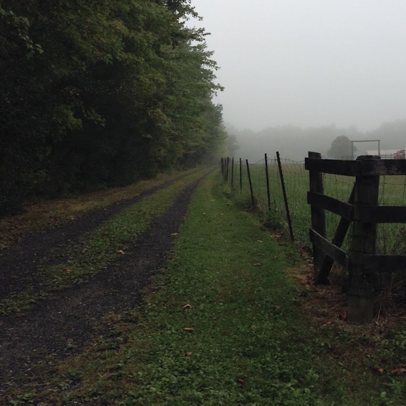 The Whistling Gate by Silke Phillips: Irish Folk Horror & Supernatural Folklore episode artwork