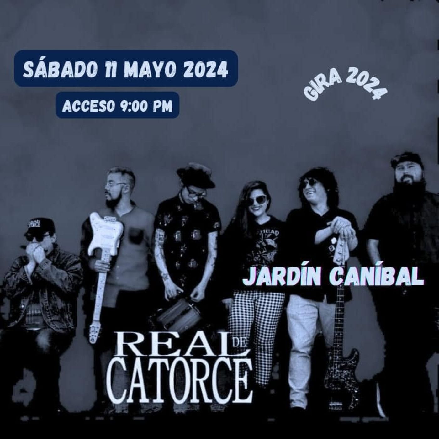 FURTIVOS.