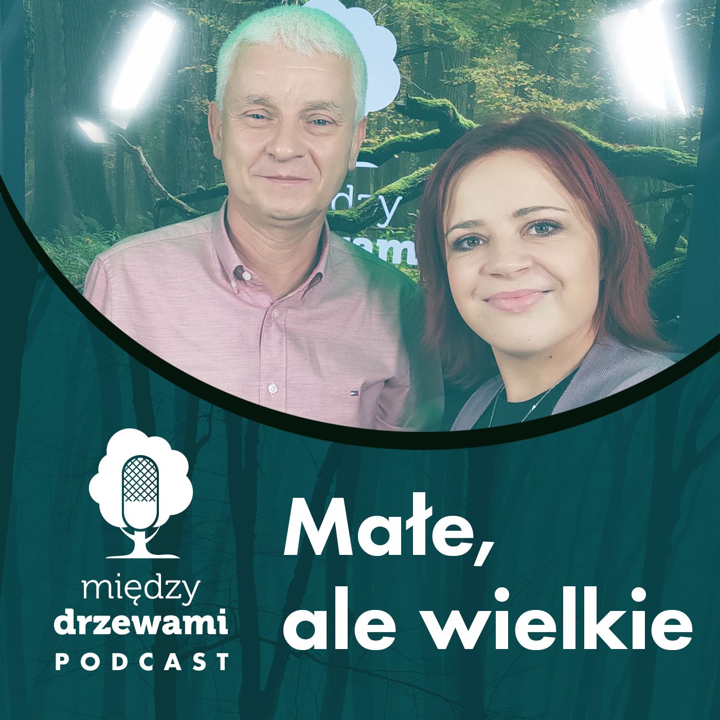 Między Drzewami #82 Małe, ale wielkie. O roli owadów w przyrodzie [dr hab. Tomasz Mokrzycki] episode artwork