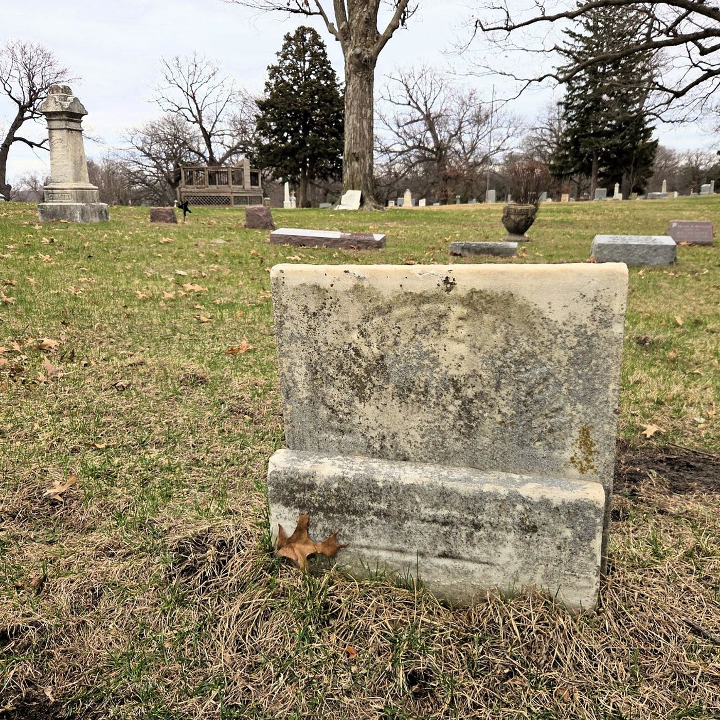 A piece of Dixon history: When the ‘fatal fluid’ killed Charlotte Means episode artwork