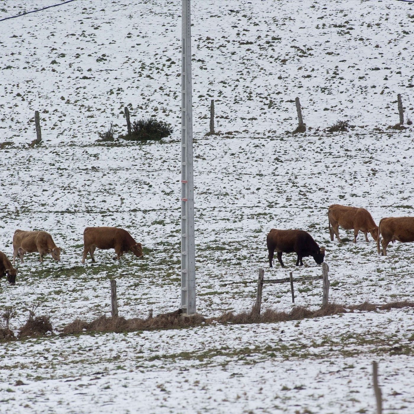 Portada de En Clave Rural