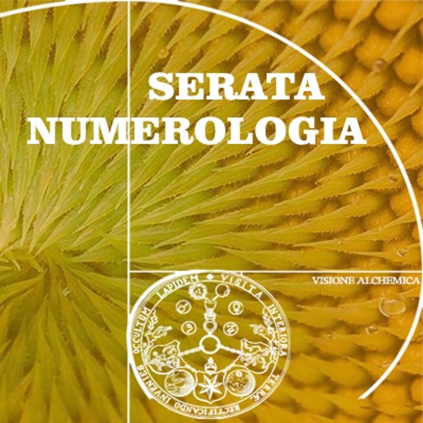 Visione Alchemica