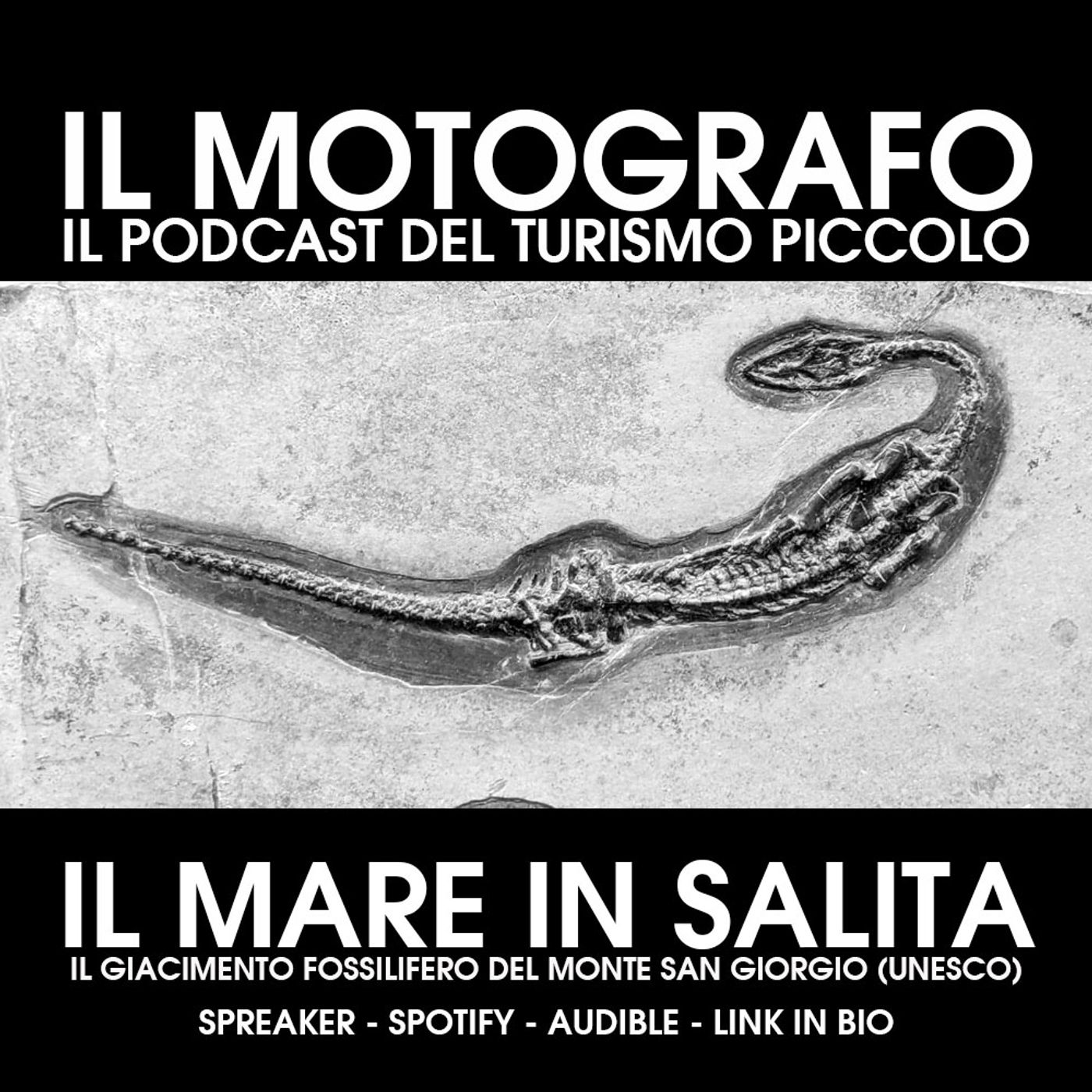 Il Motografo