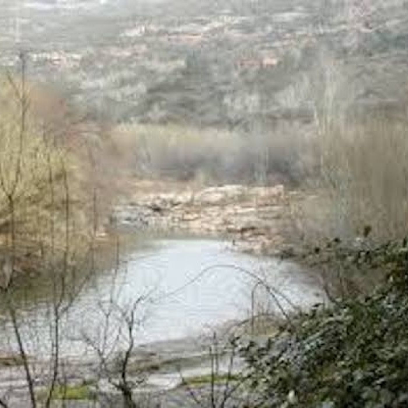Tracce di Bosco Messina