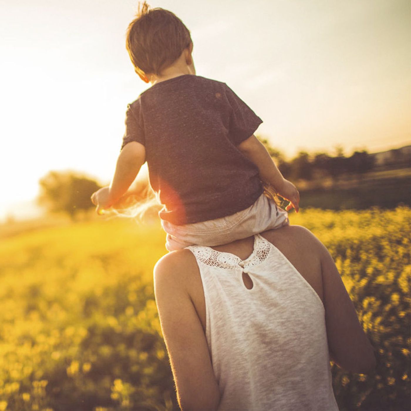 Carta de un hijo a sus padres