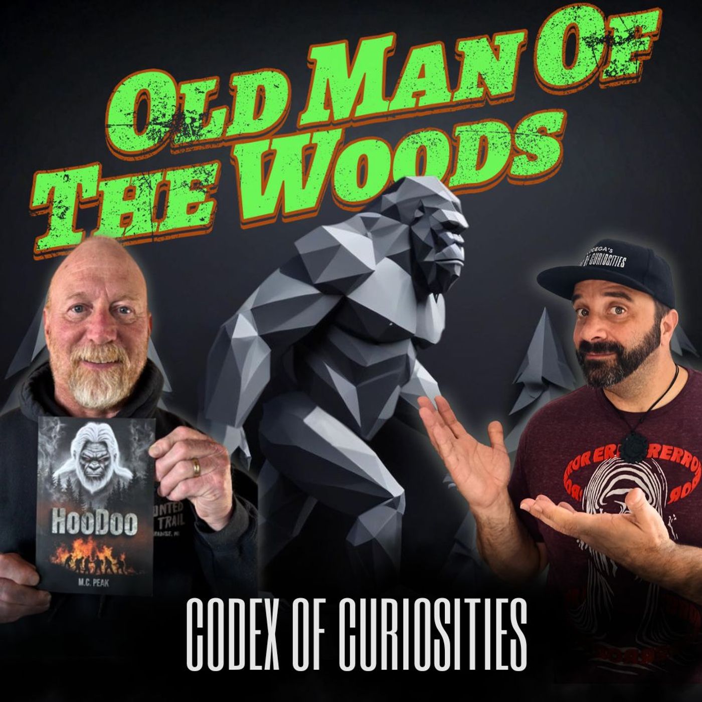 The Old Man of The Woods; A Sasquatch Encounter