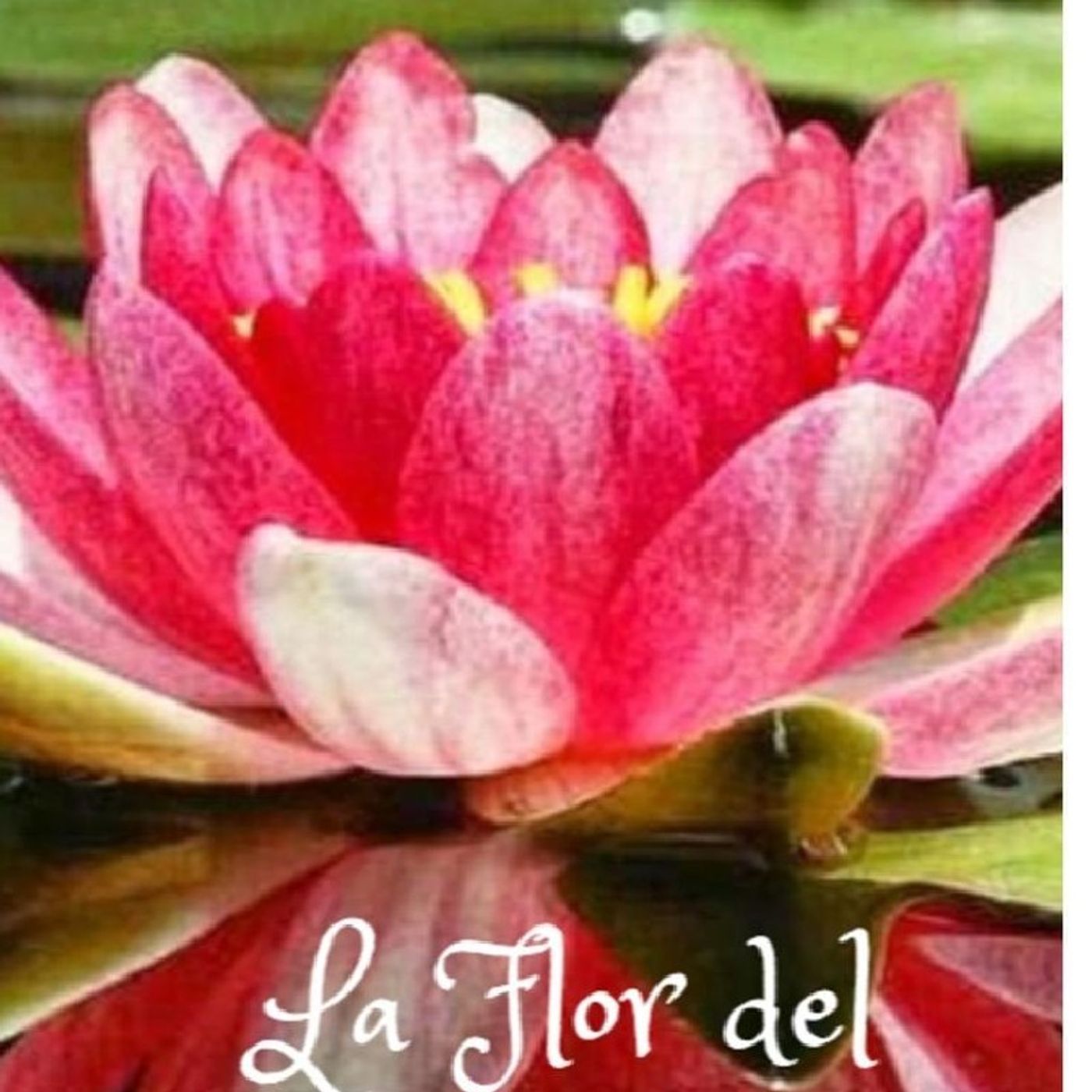 "cuentos al oído" episode artwork